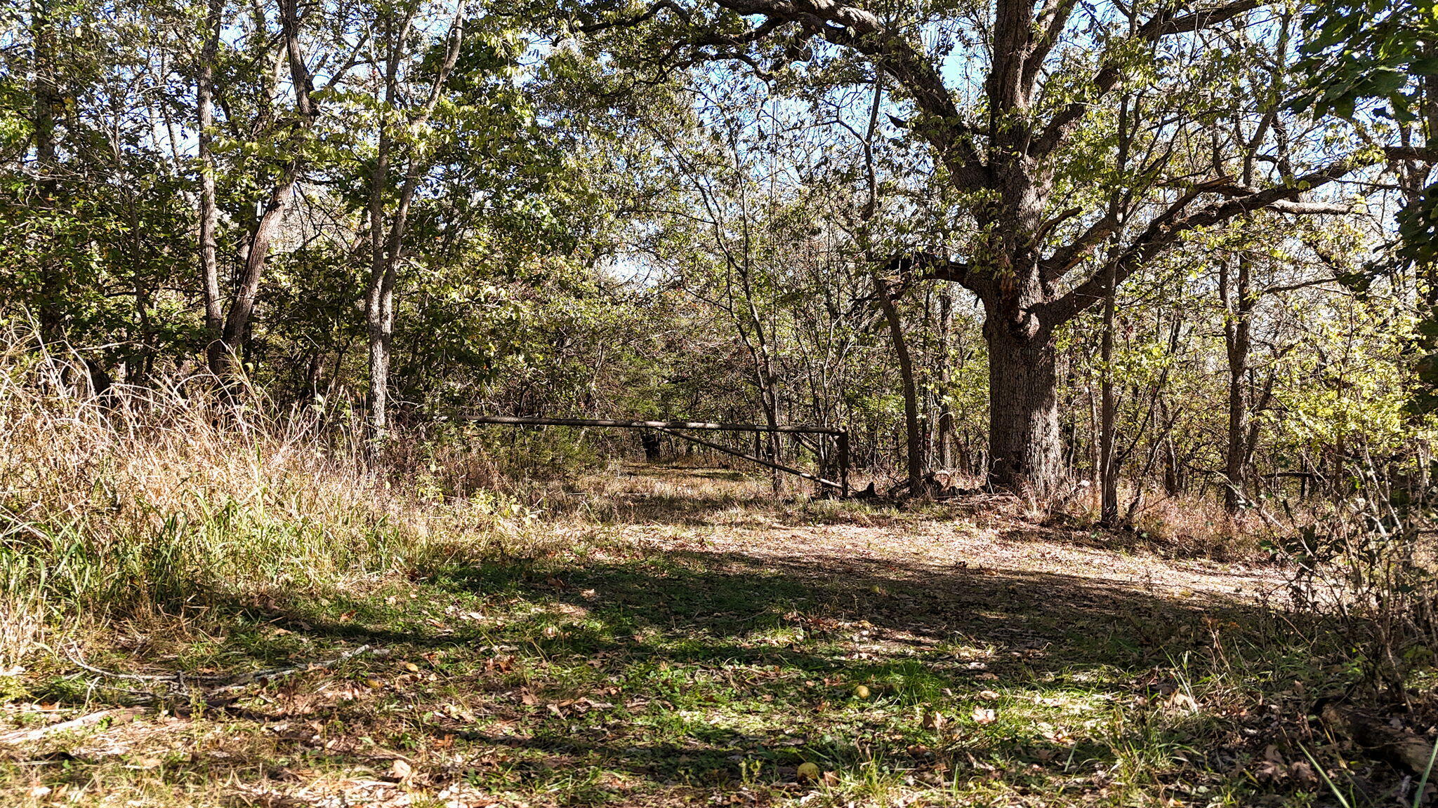 000 State Hwy 39 Property Photo 14
