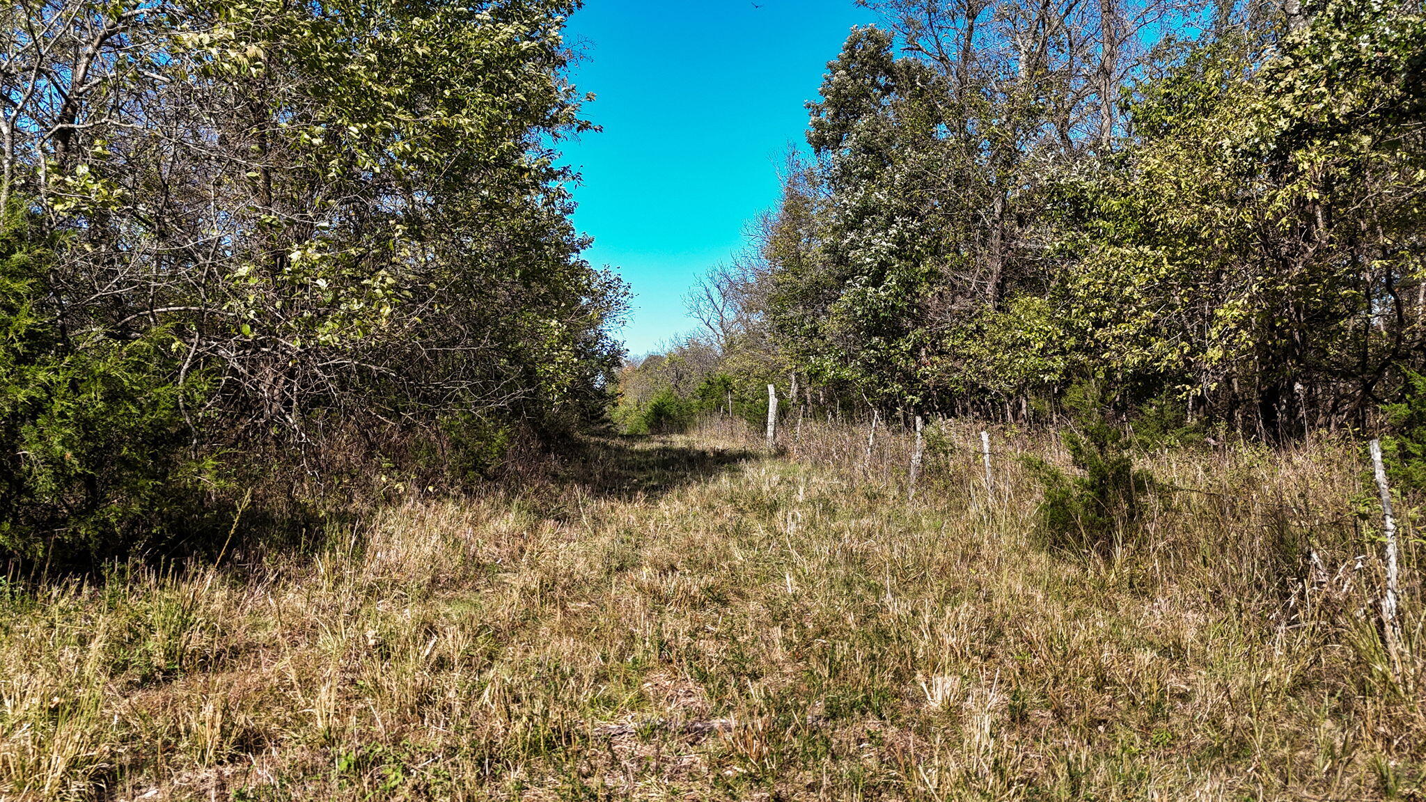000 State Hwy 39 Property Photo 15