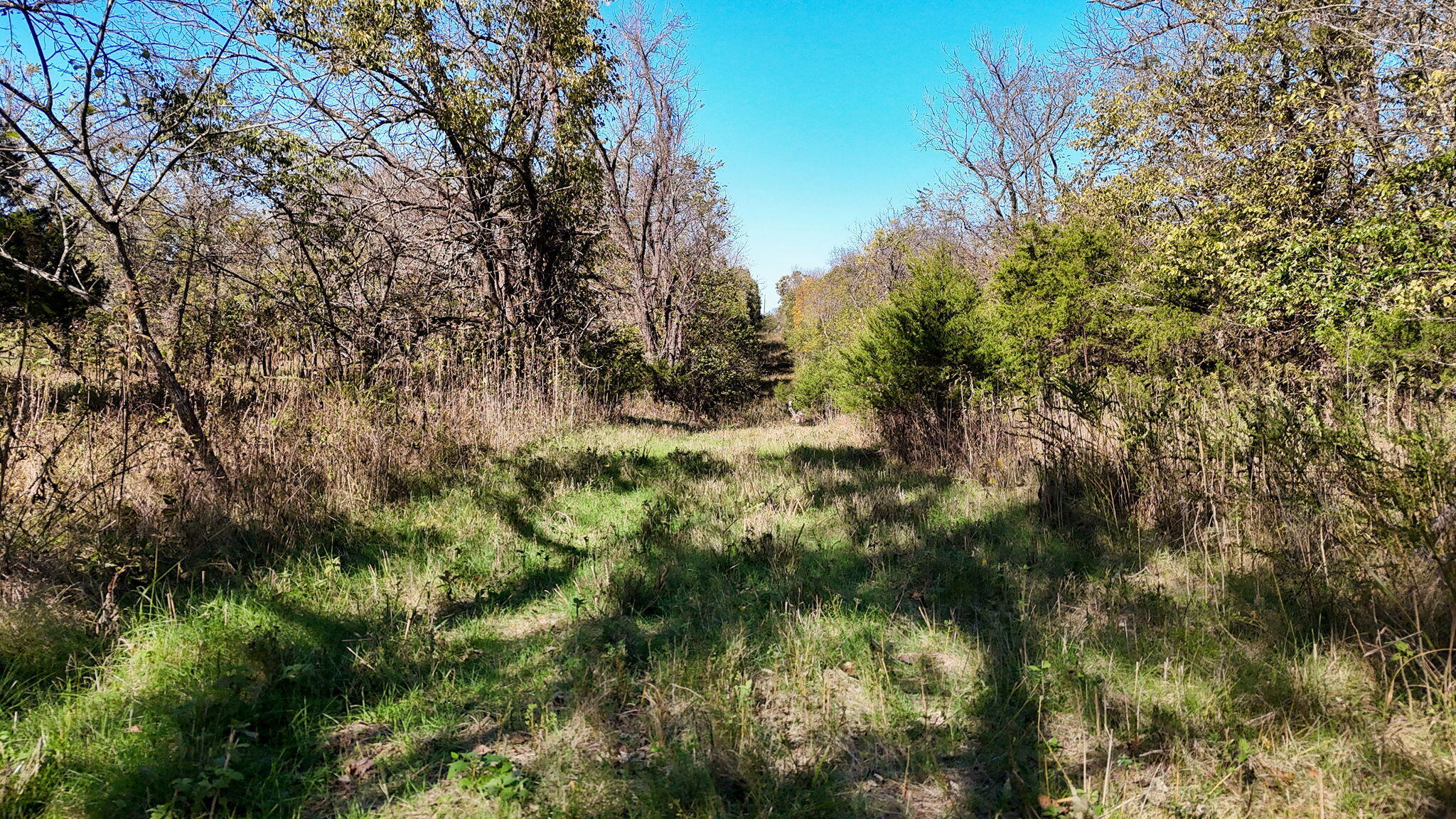 000 State Hwy 39 Property Photo 16