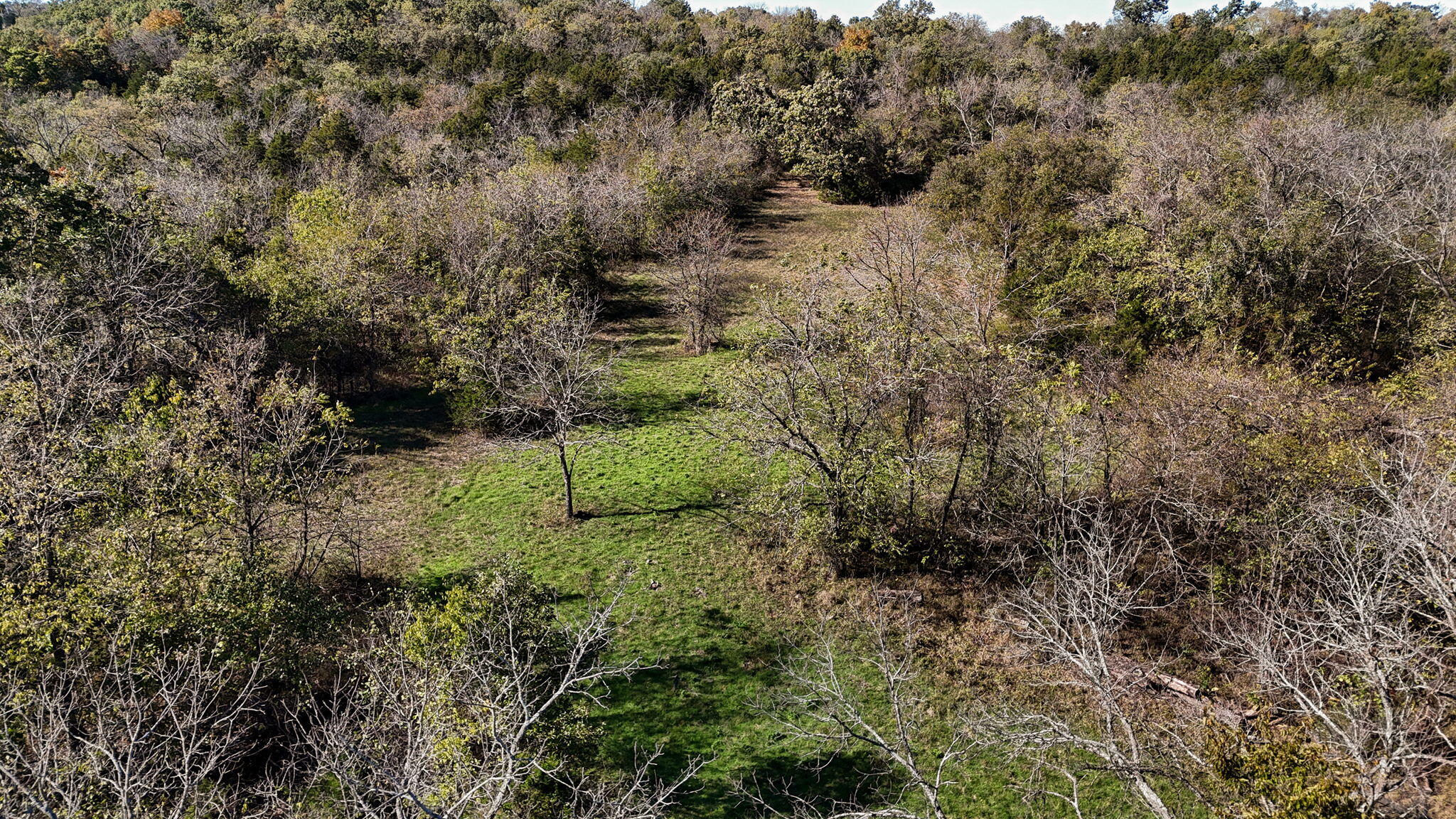 000 State Hwy 39 Property Photo 17