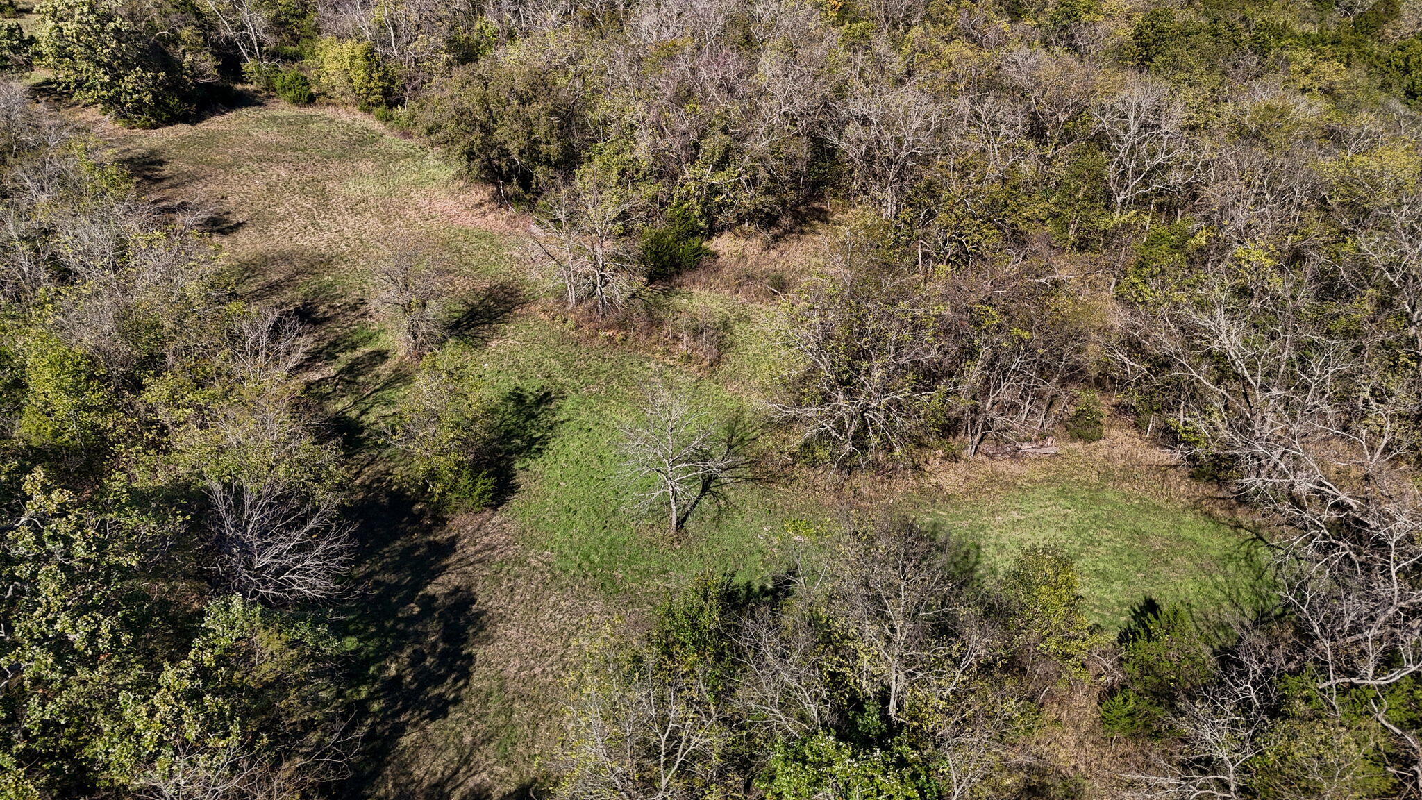 000 State Hwy 39 Property Photo 18