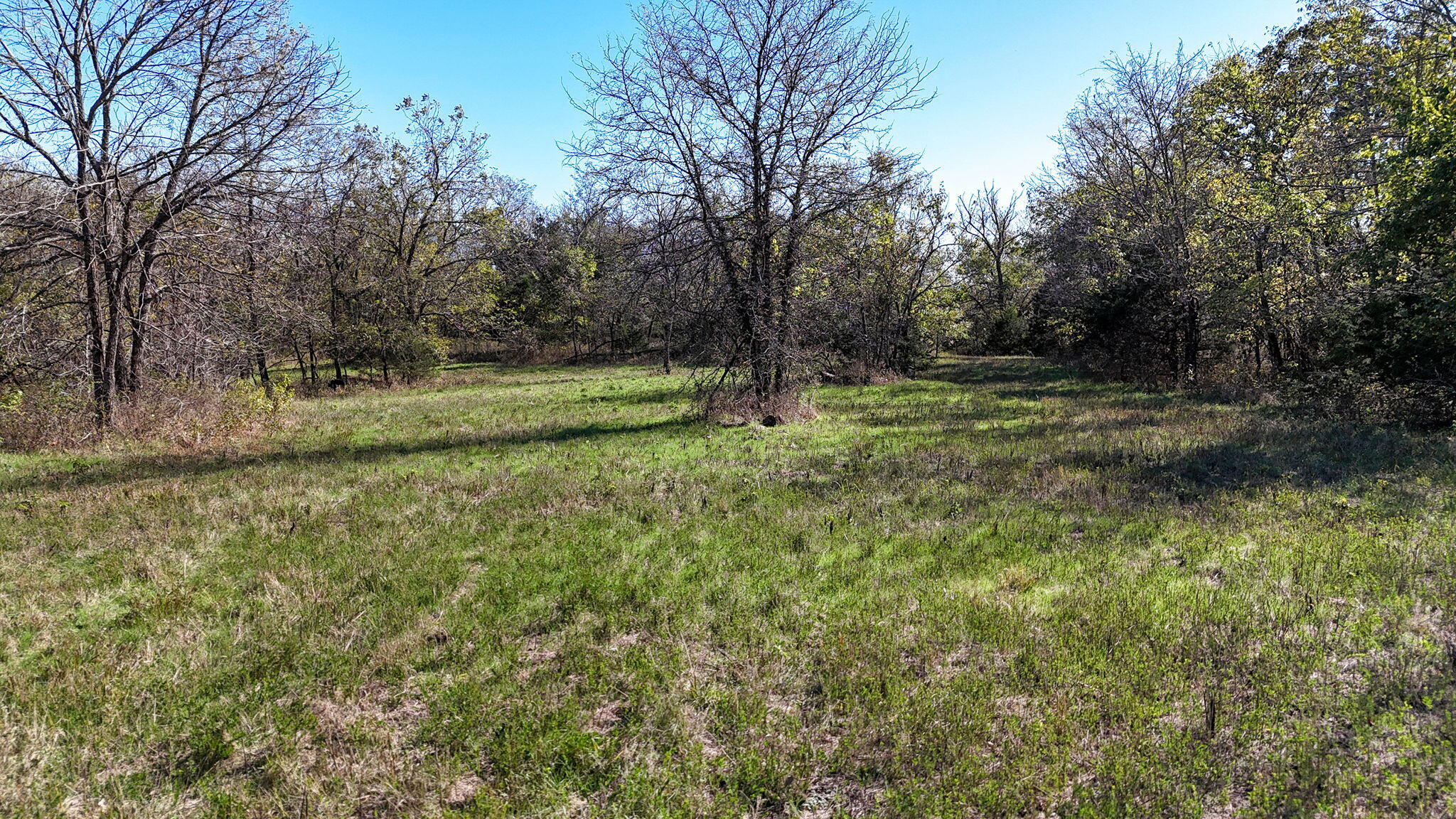 000 State Hwy 39 Property Photo 20