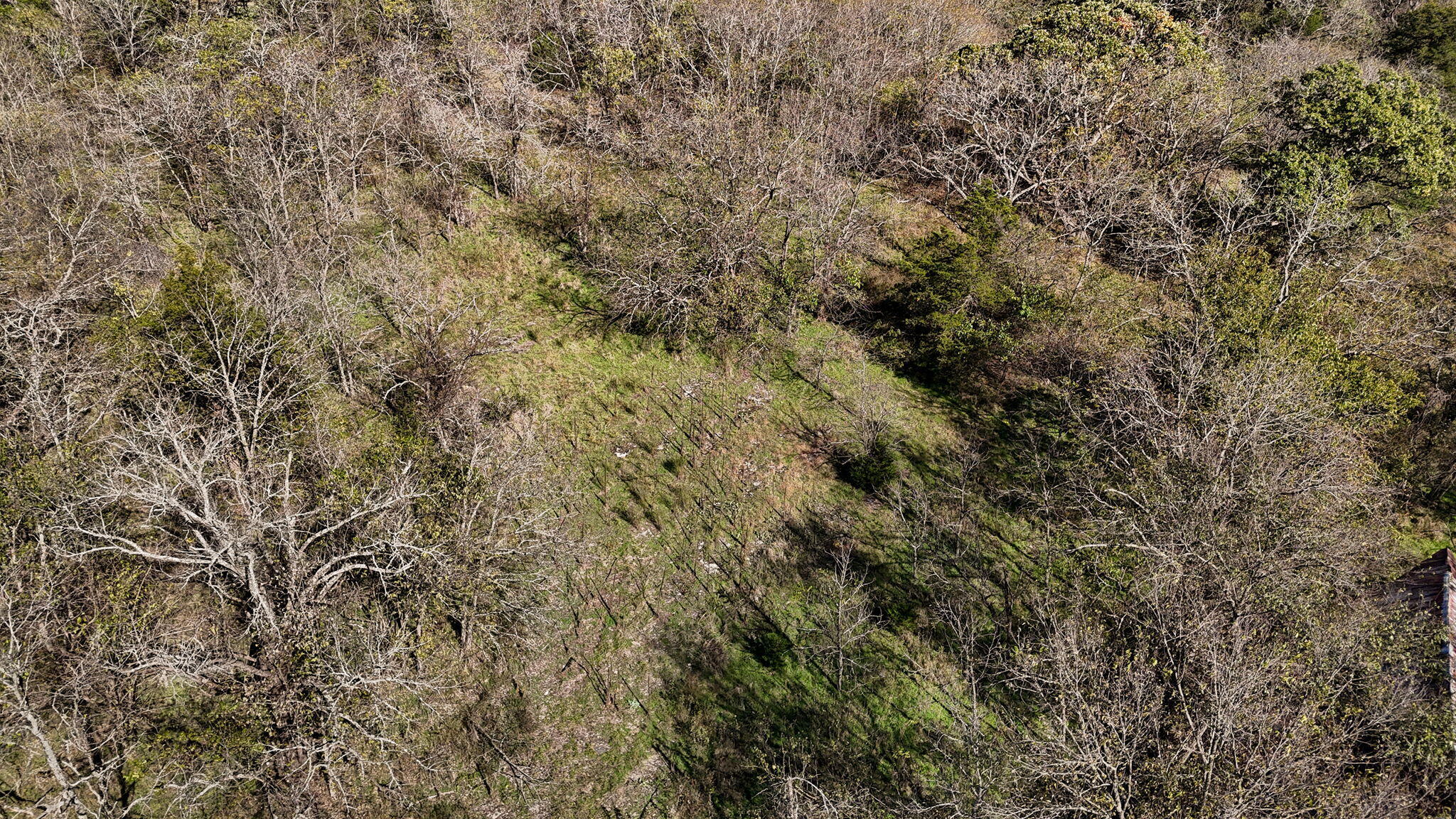 000 State Hwy 39 Property Photo 37