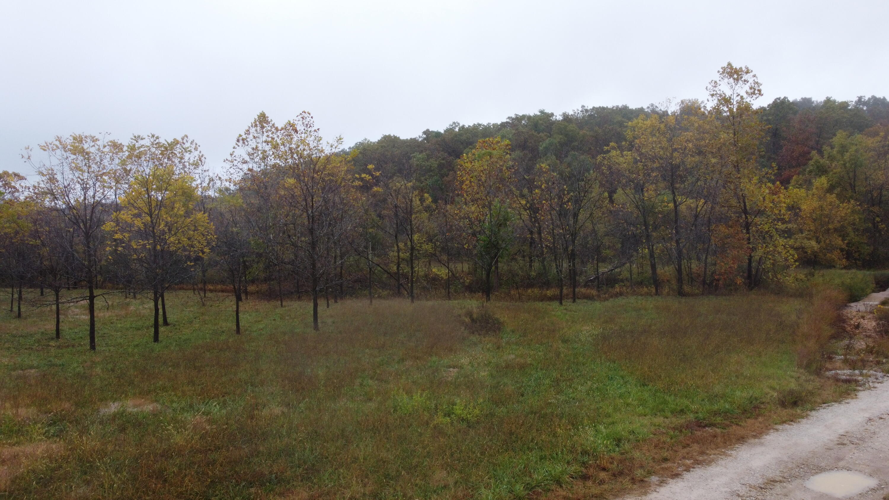 000 Nevill Road Property Photo 2