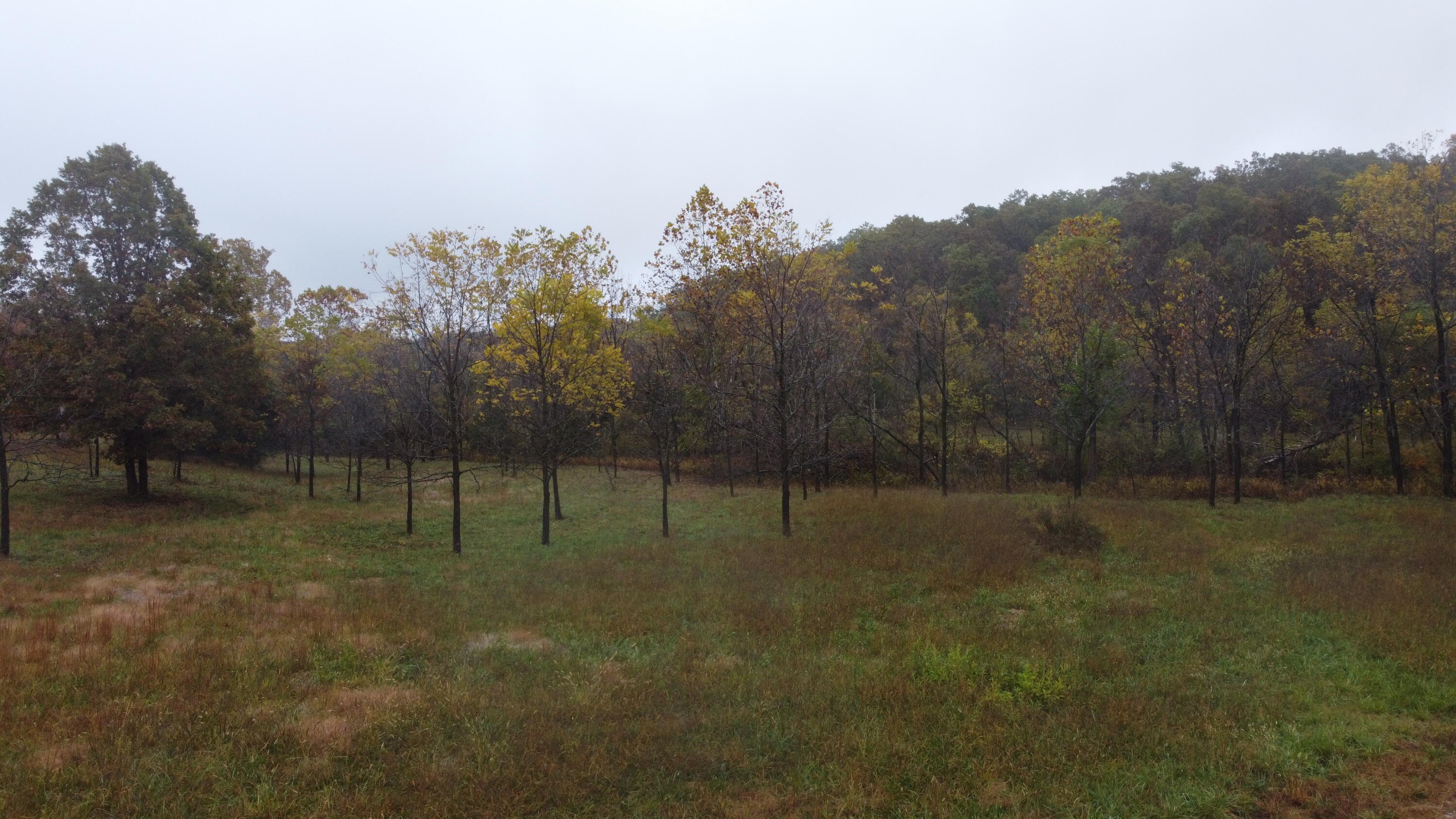 000 Nevill Road Property Photo 4