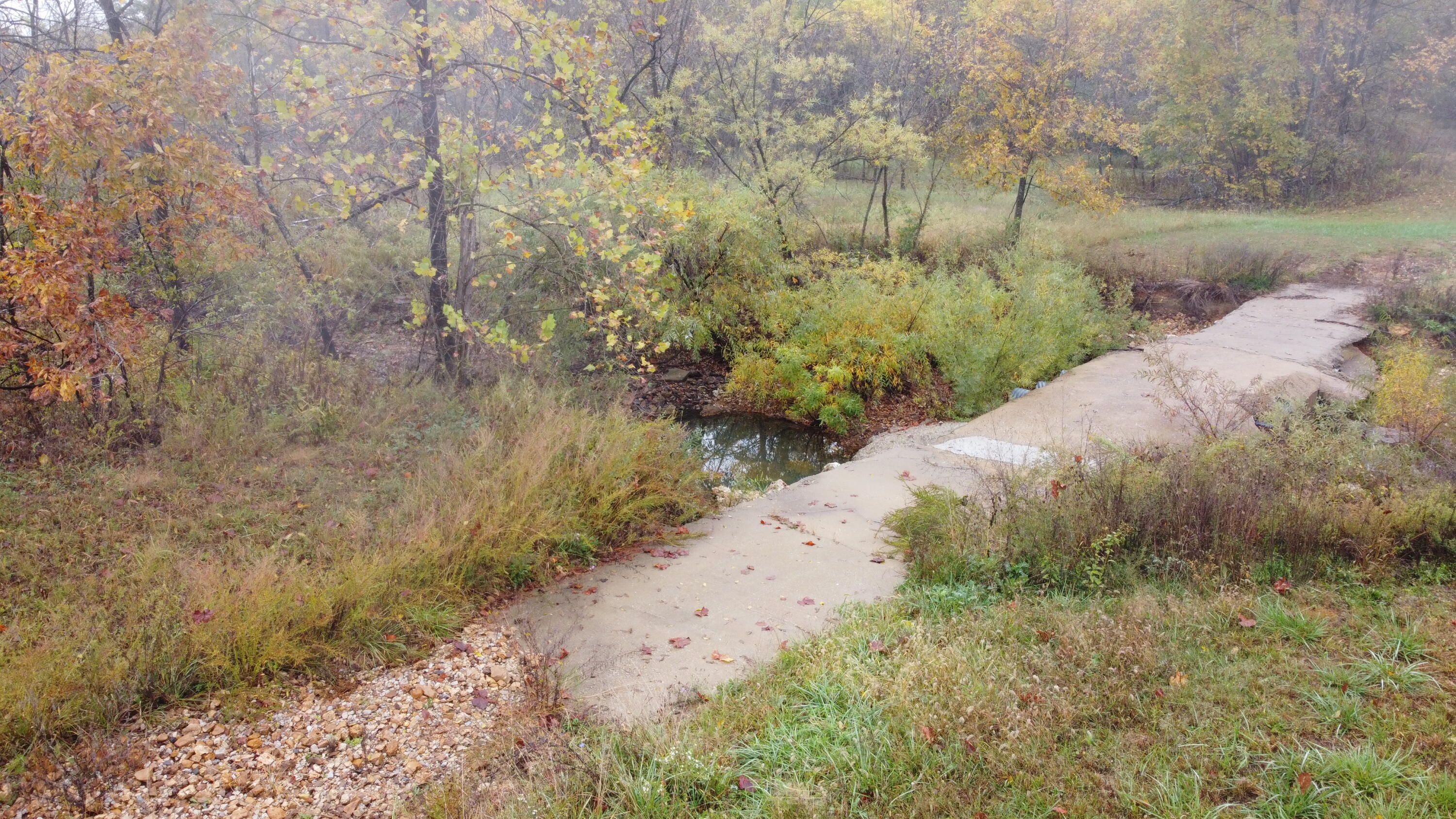 000 Nevill Road Property Photo 8