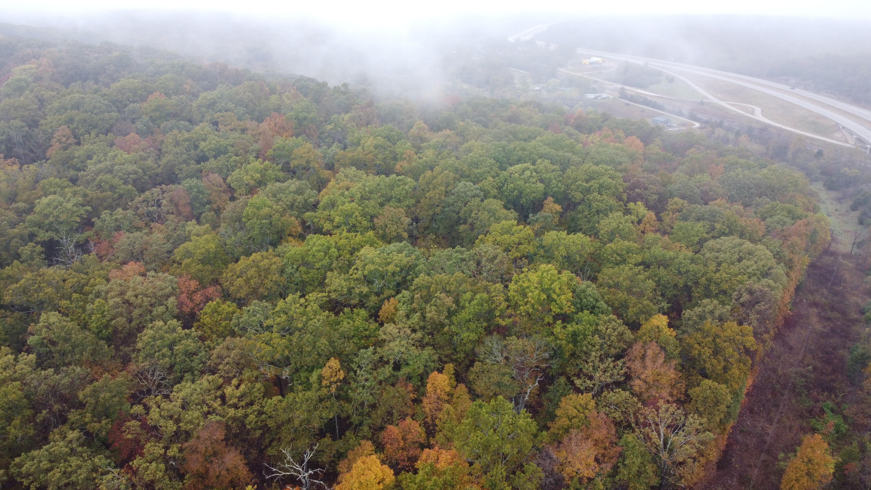 000 Nevill Road Property Photo 10
