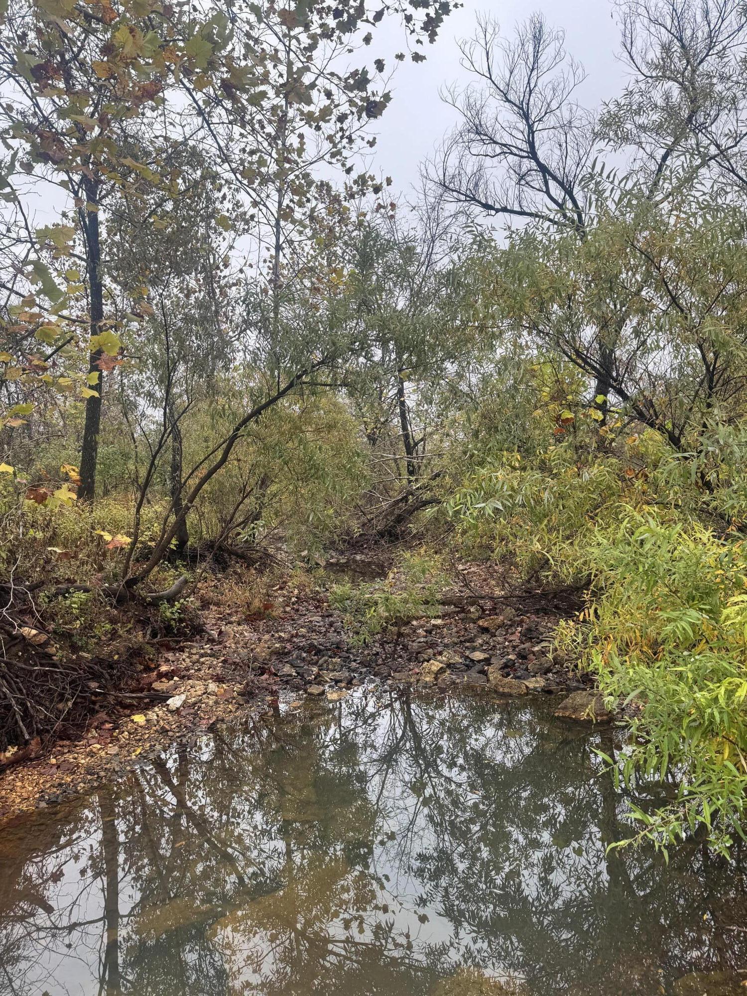 000 Nevill Road Property Photo 12