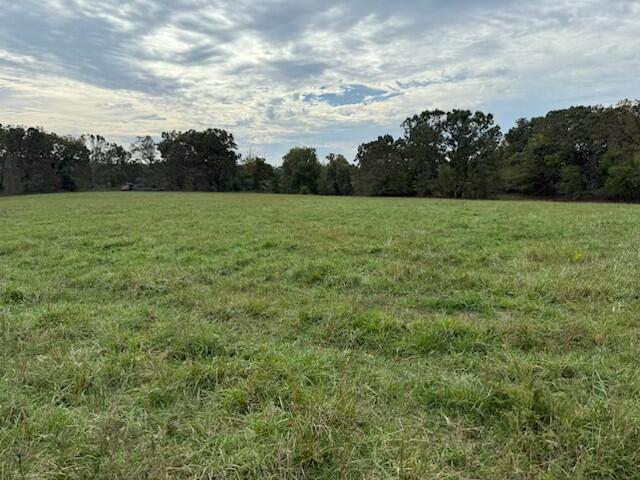 Tbd U.s. Highway 160 Property Photo 1