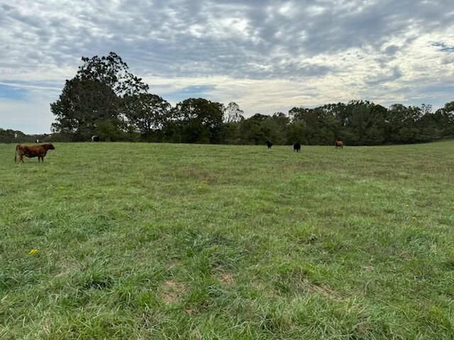 Tbd U.s. Highway 160 Property Photo 3