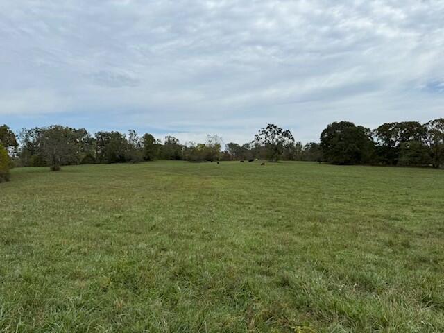 Tbd U.s. Highway 160 Property Photo 4