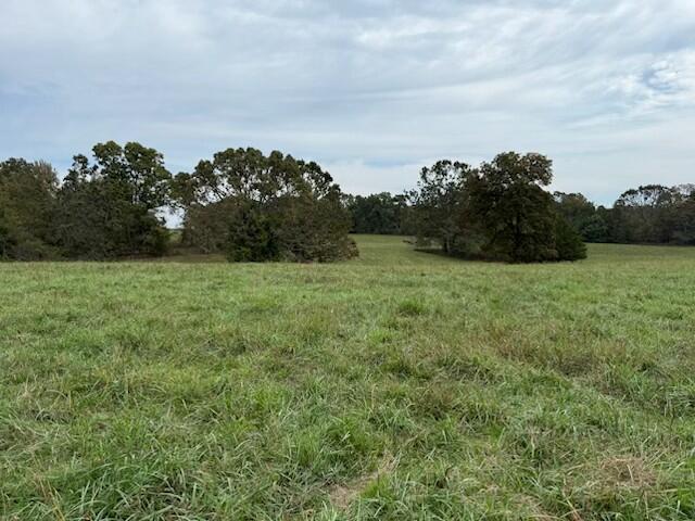 Tbd U.s. Highway 160 Property Photo 5