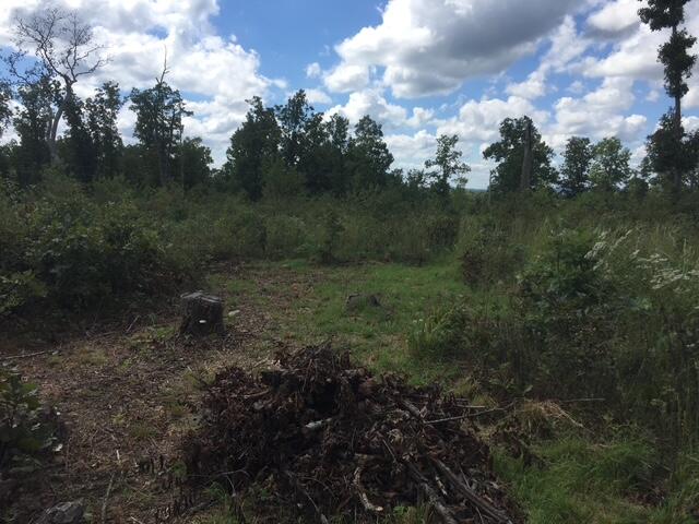 1240 County Rd 875 Property Photo 1