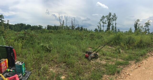1240 County Rd 875 Property Photo 3