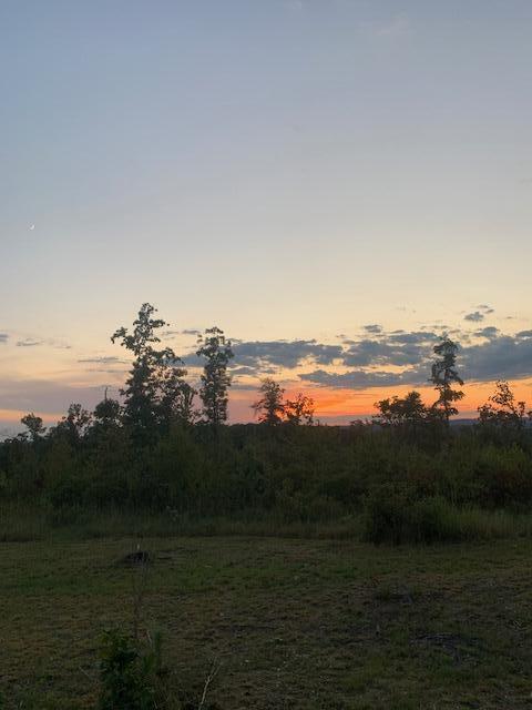 1240 County Rd 875 Property Photo 14