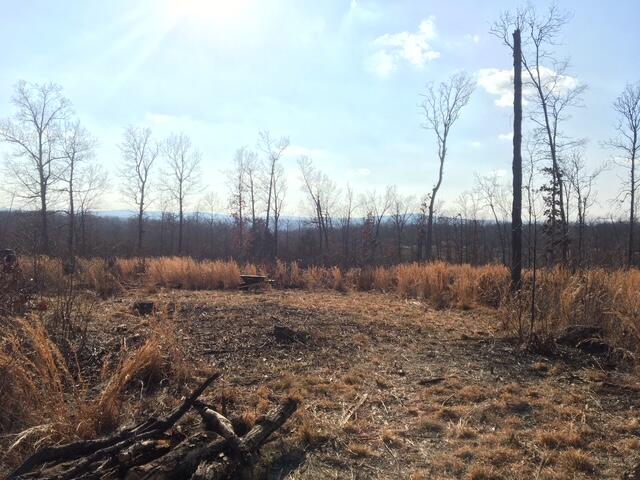 1240 County Rd 875 Property Photo 19