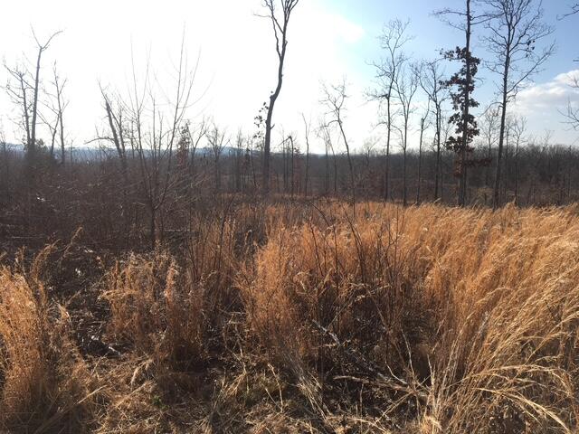 1240 County Rd 875 Property Photo 20