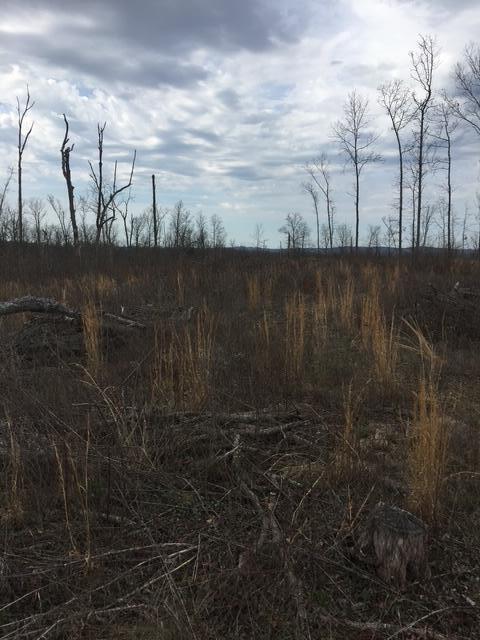1240 County Rd 875 Property Photo 21