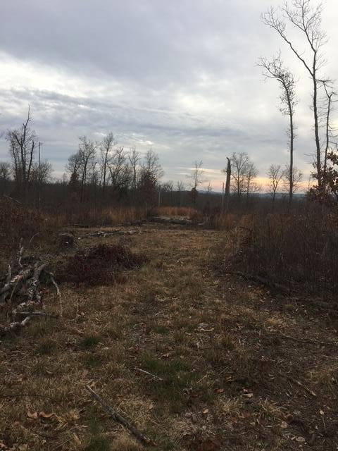 1240 County Rd 875 Property Photo 22