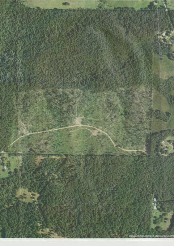 1240 County Rd 875 Property Photo 23