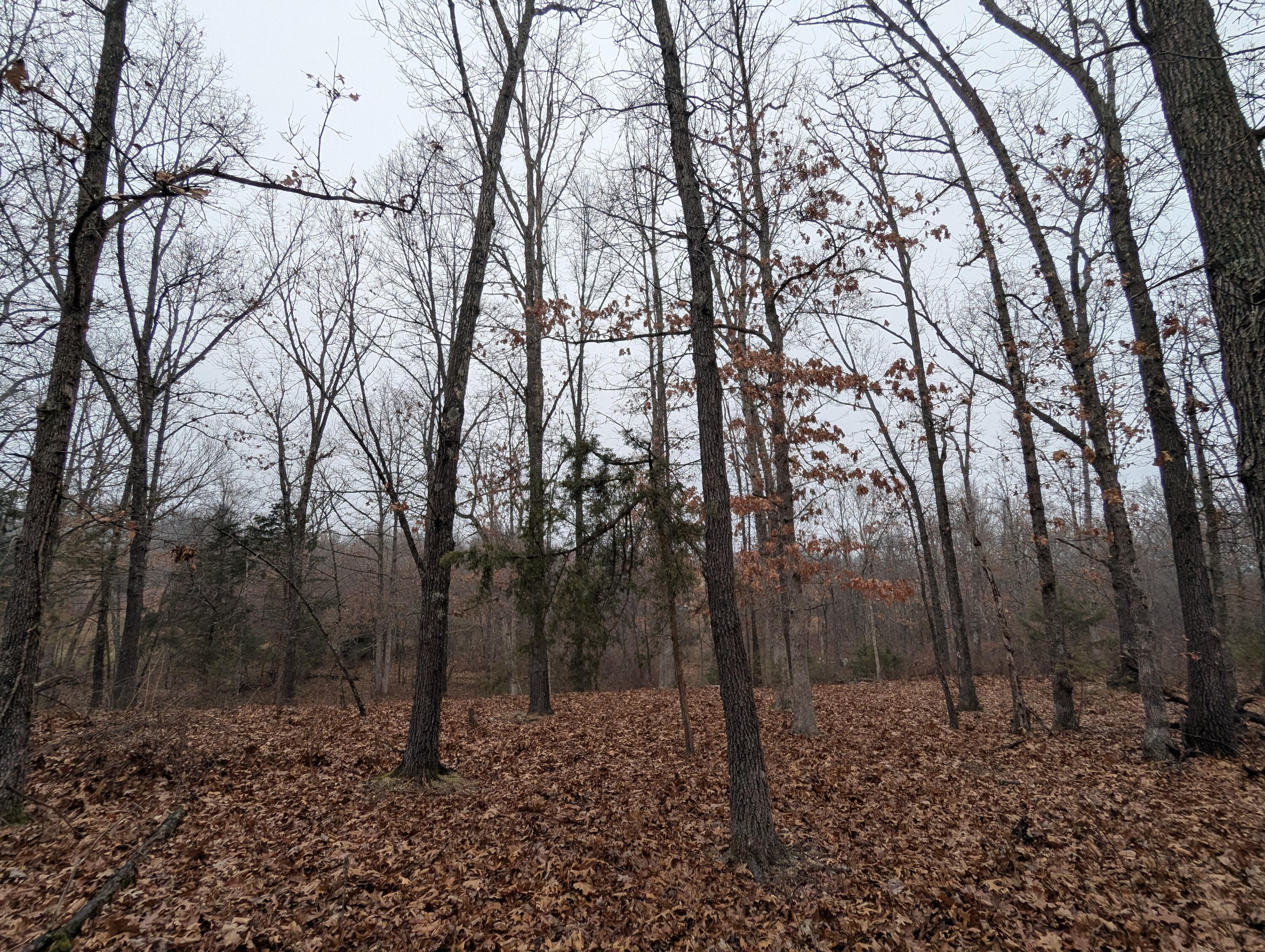 1800 State Highway O Property Photo 1