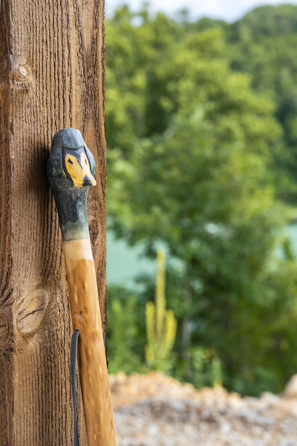 141 Turtle Rdg Drive Property Photo 9