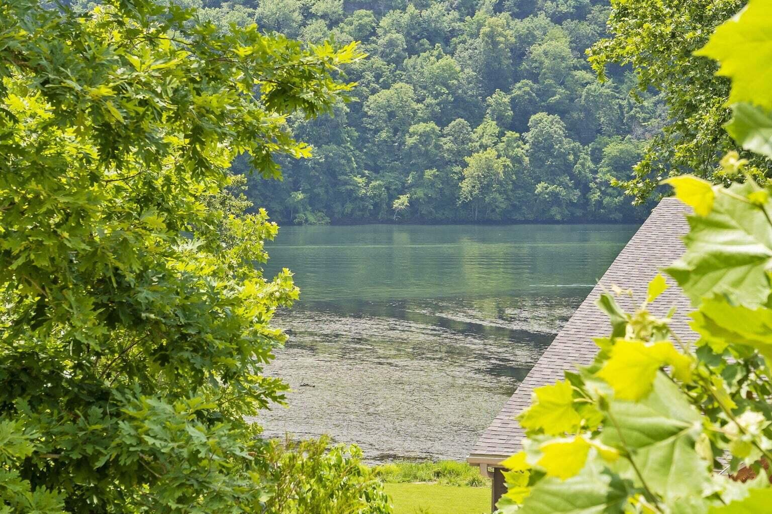 141 Turtle Rdg Drive Property Photo 31