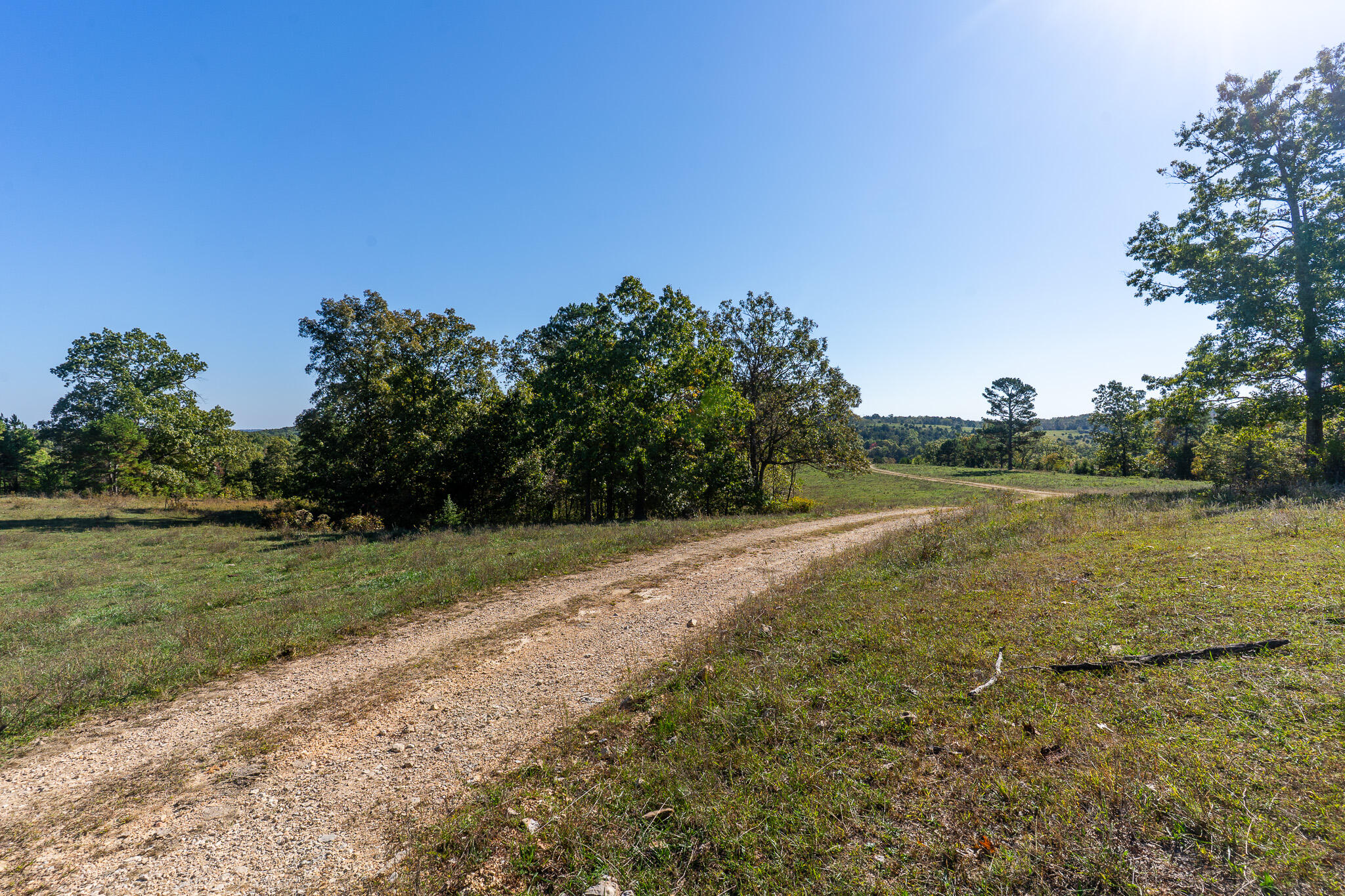 000 County Road 1130 Property Photo 1