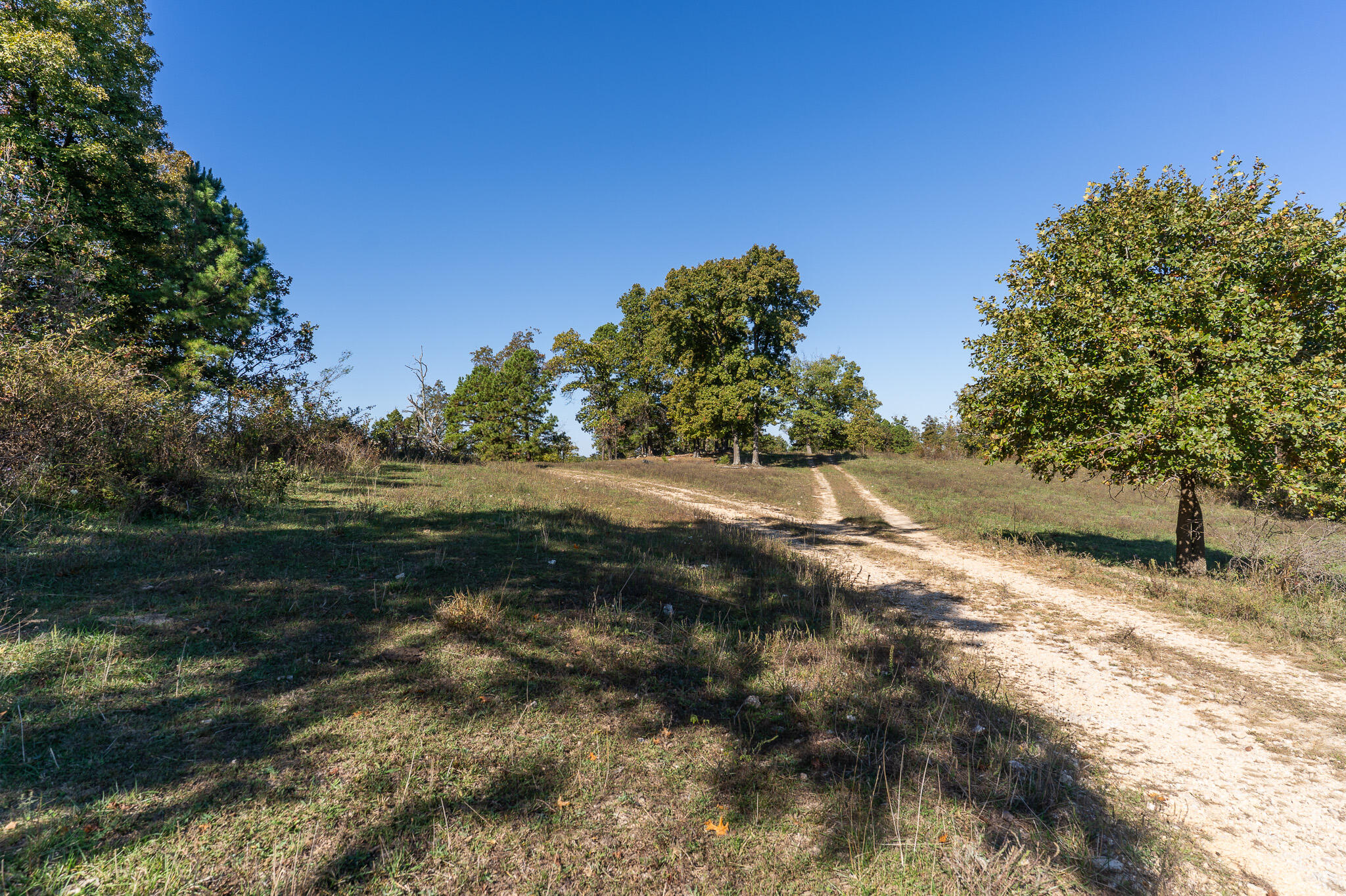 000 County Road 1130 Property Photo 2
