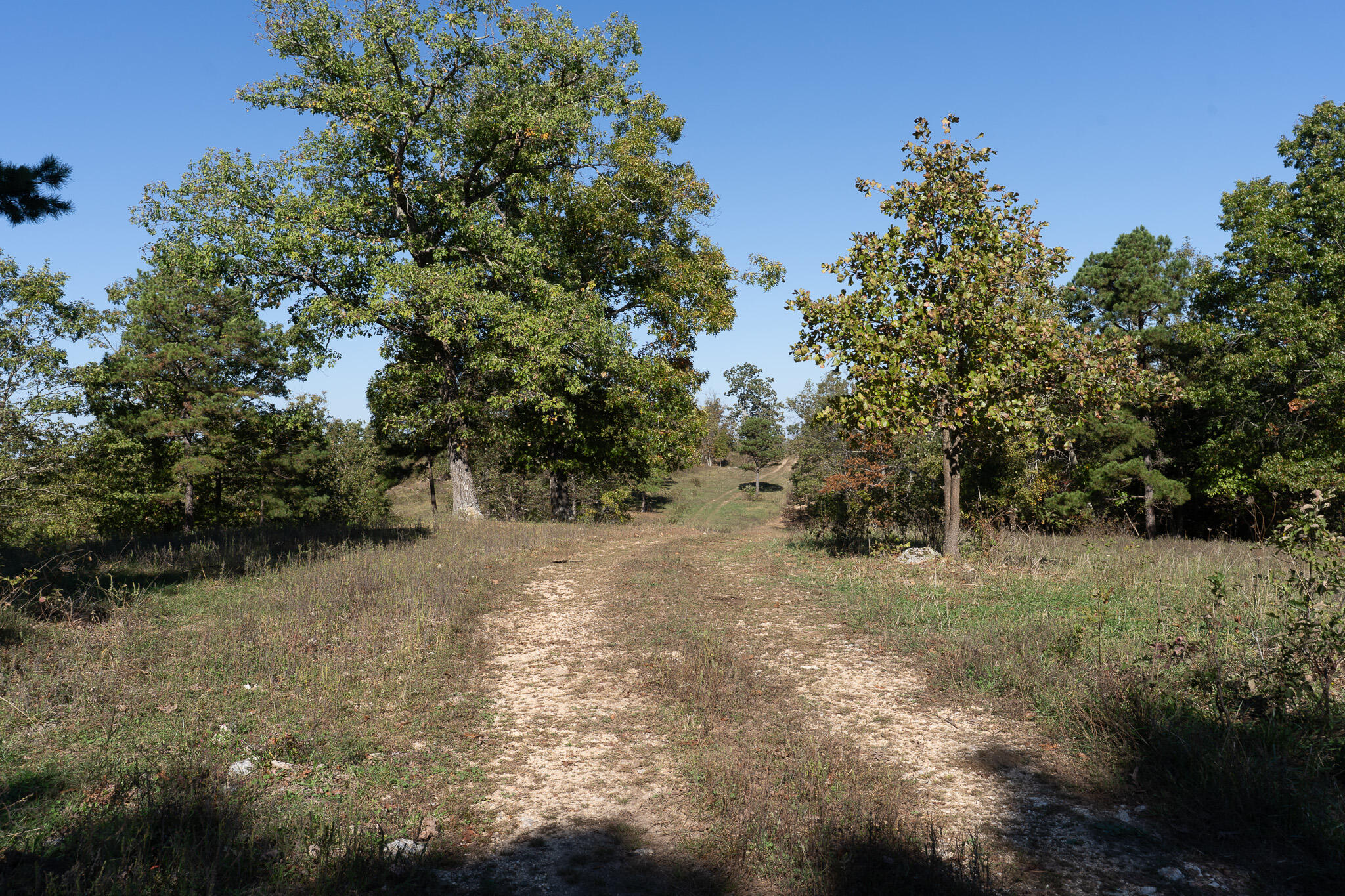 000 County Road 1130 Property Photo 4