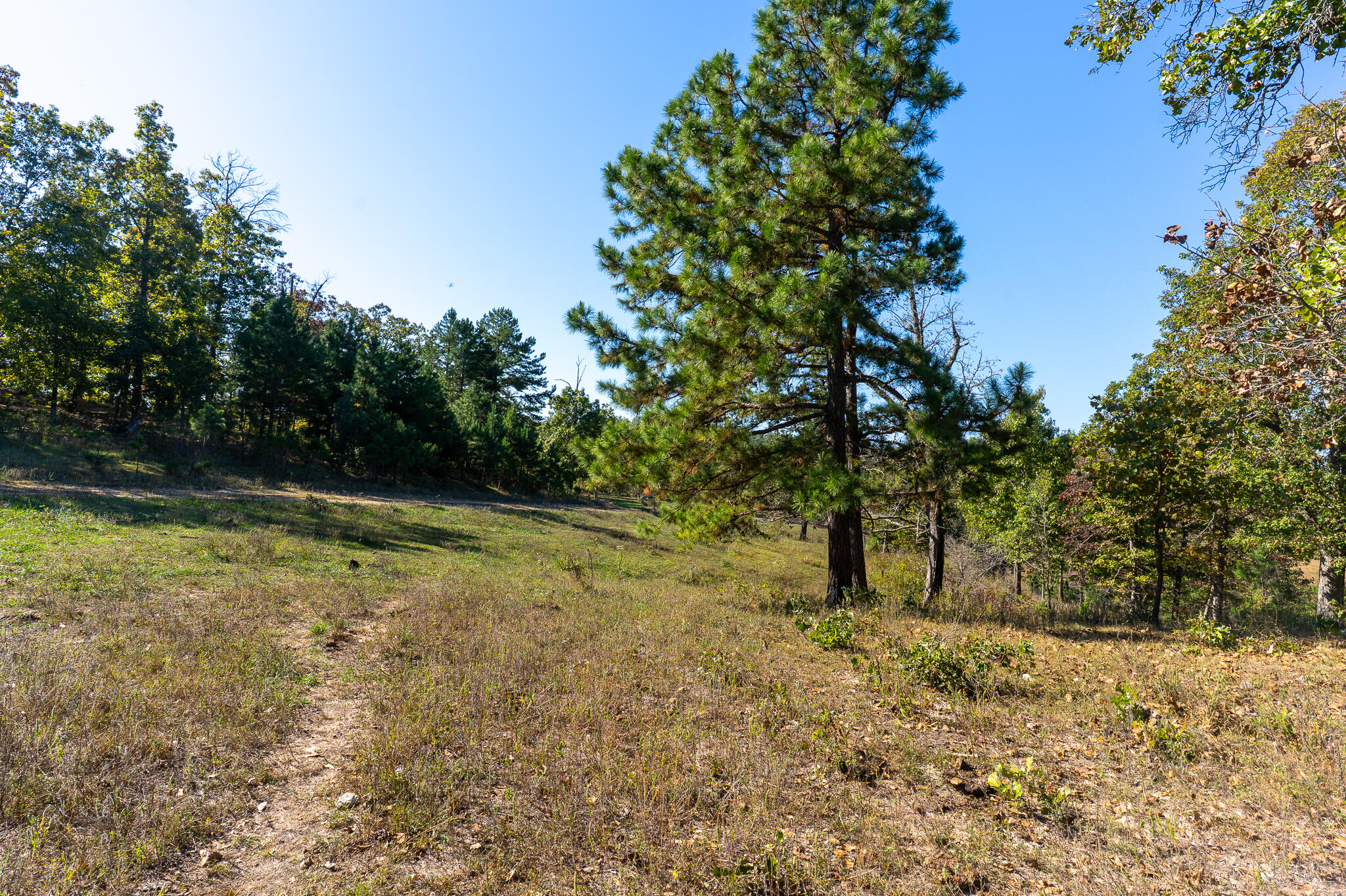 000 County Road 1130 Property Photo 5