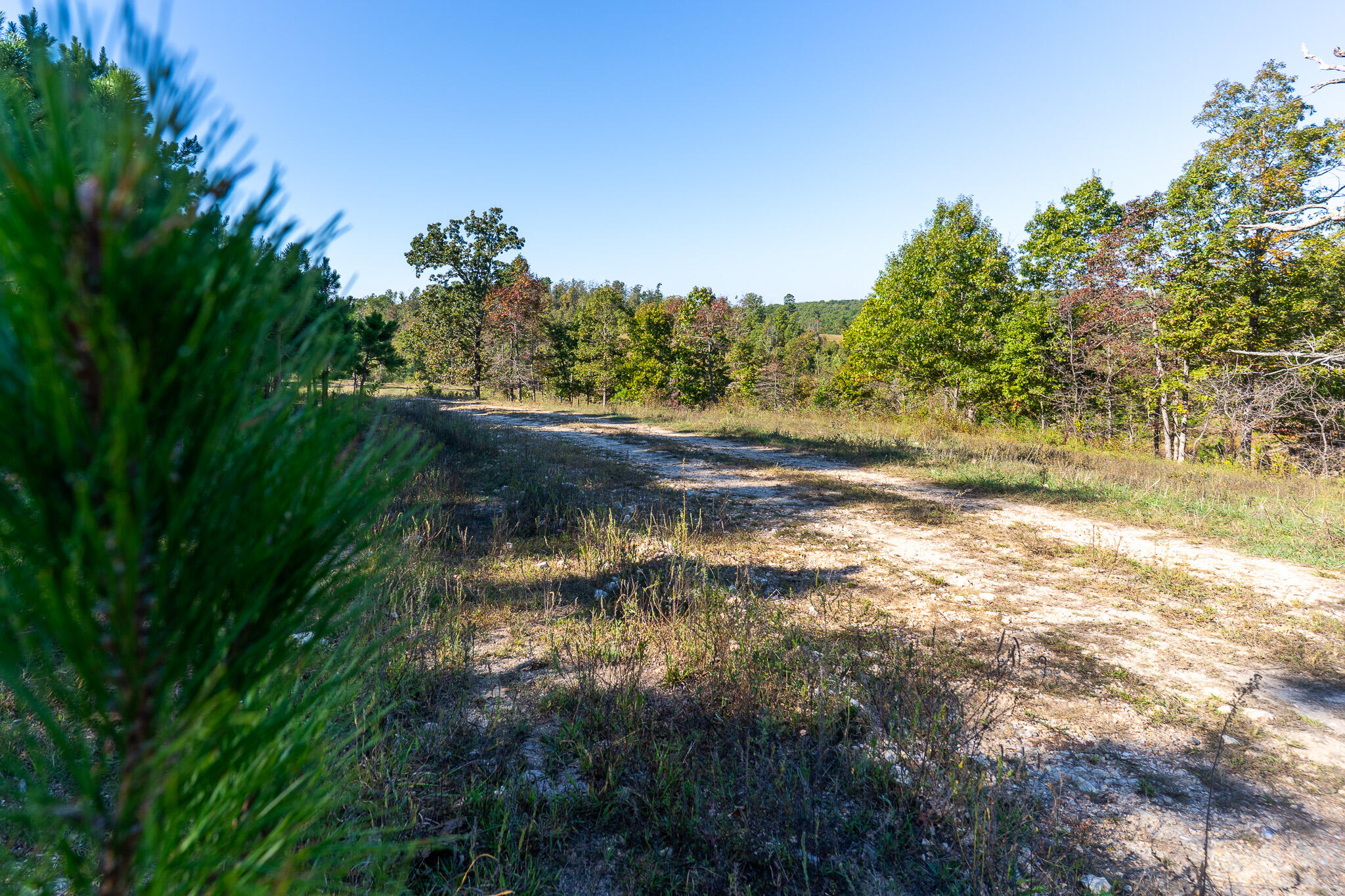 000 County Road 1130 Property Photo 6
