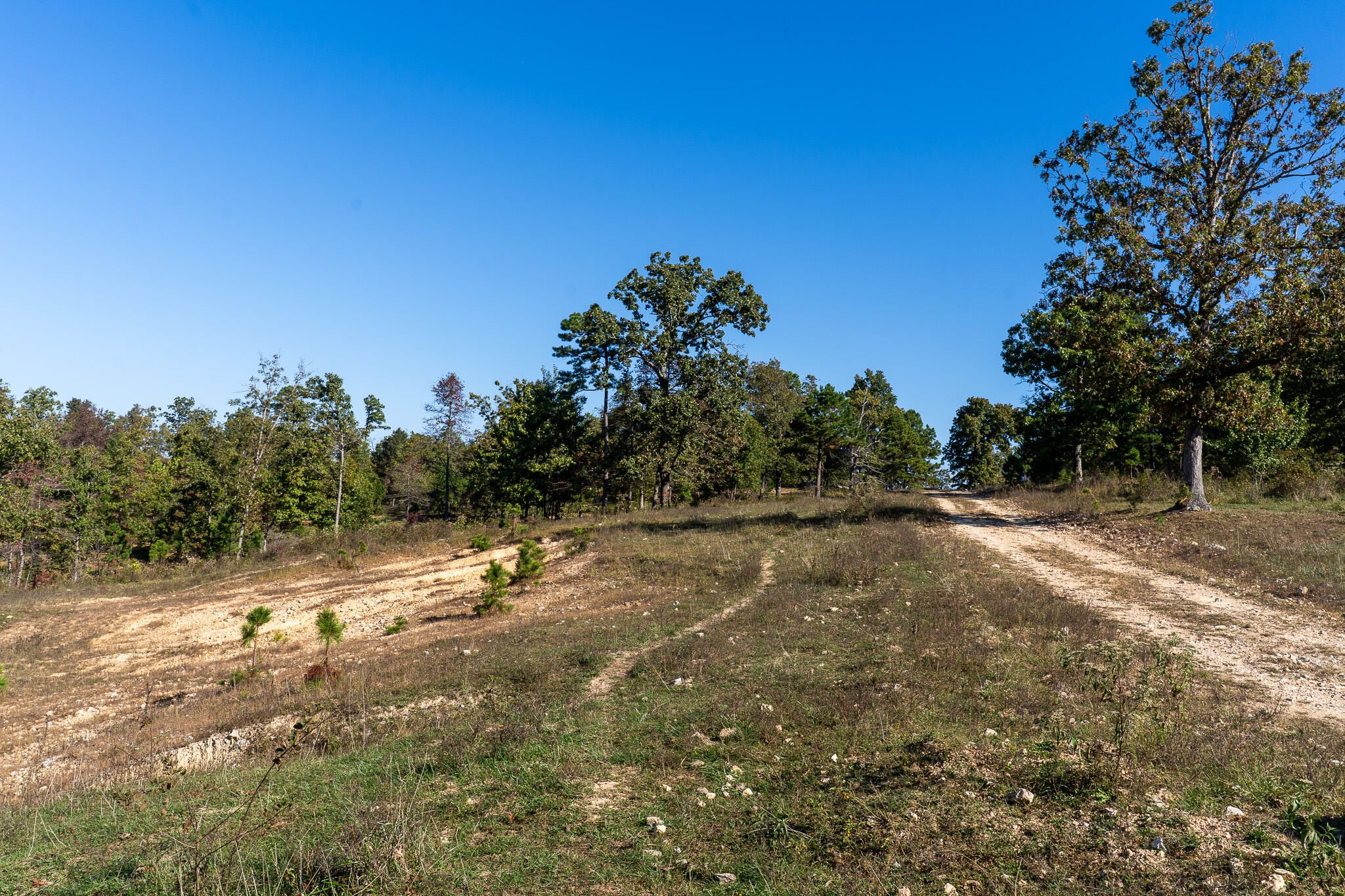 000 County Road 1130 Property Photo 9