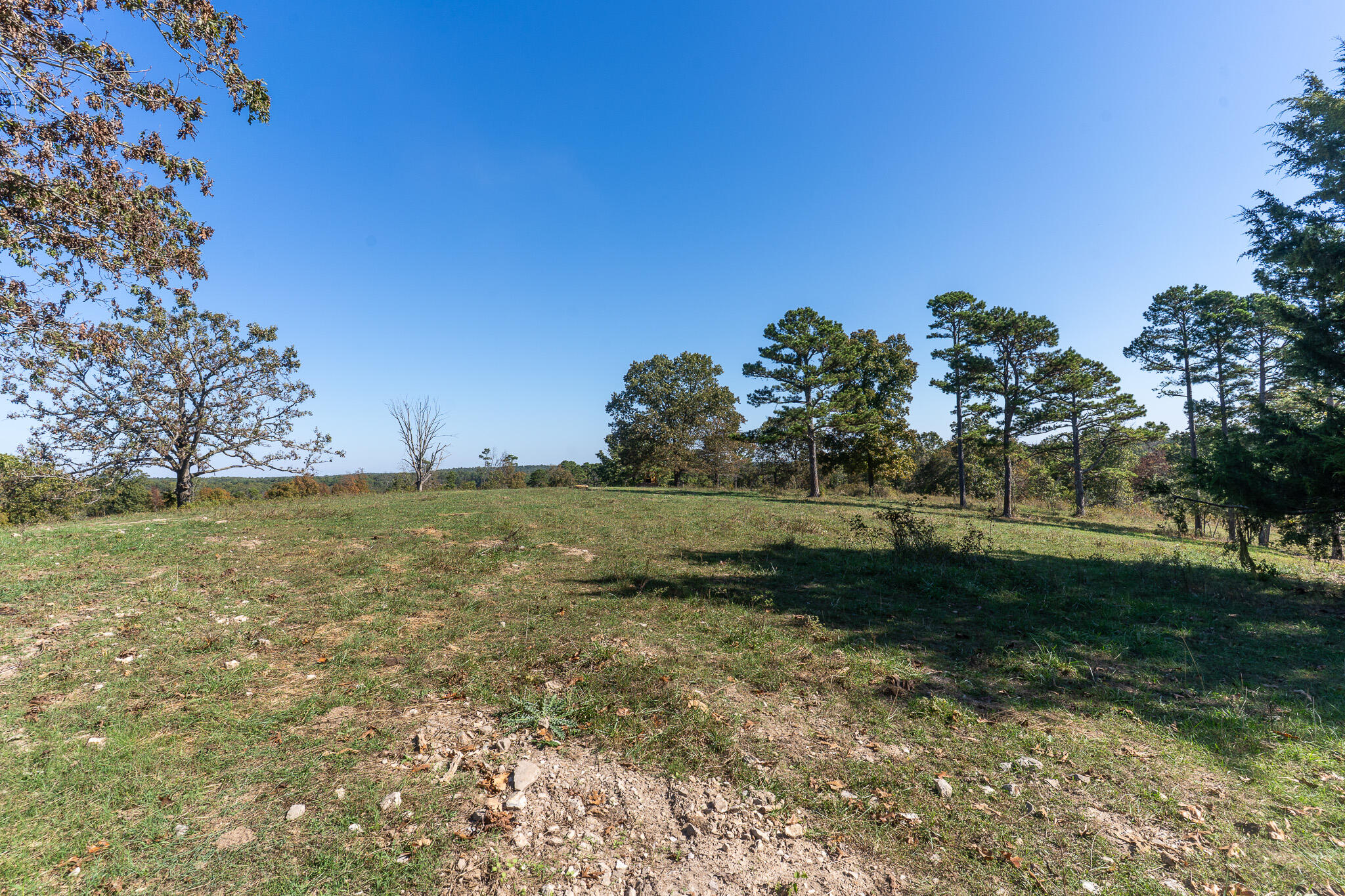 000 County Road 1130 Property Photo 11