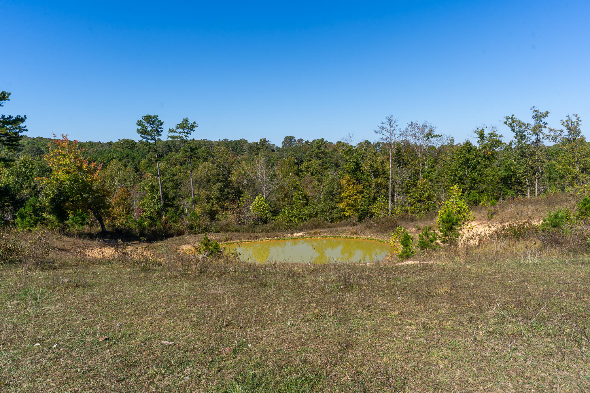 000 County Road 1130 Property Photo 14