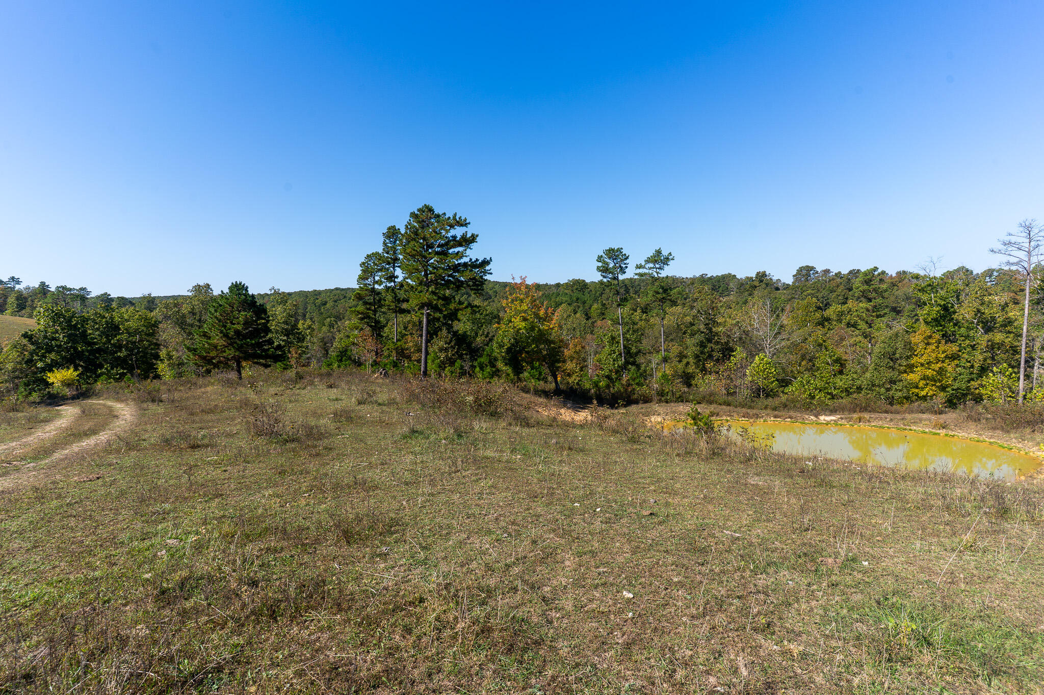 000 County Road 1130 Property Photo 15