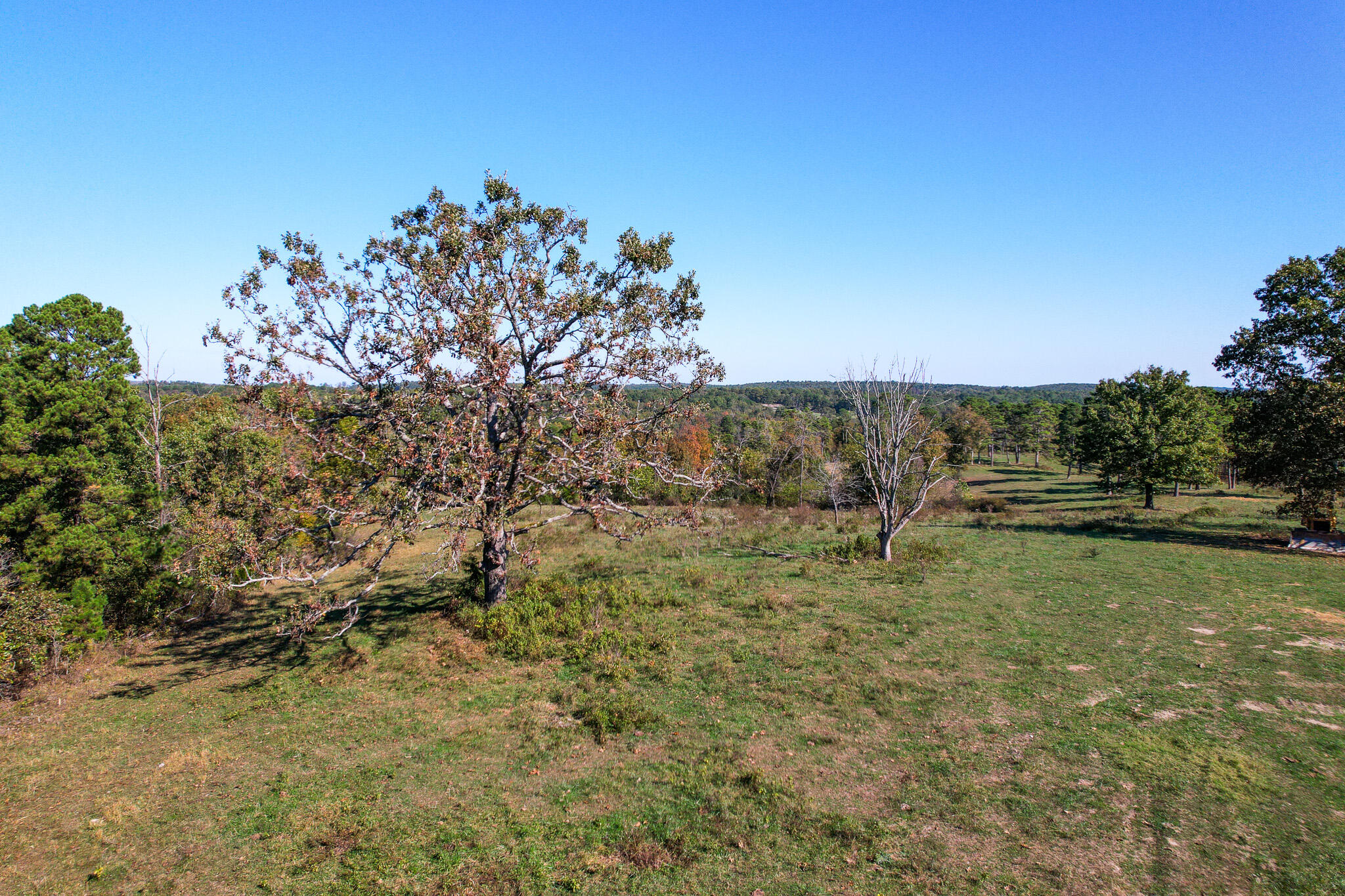 000 County Road 1130 Property Photo 31