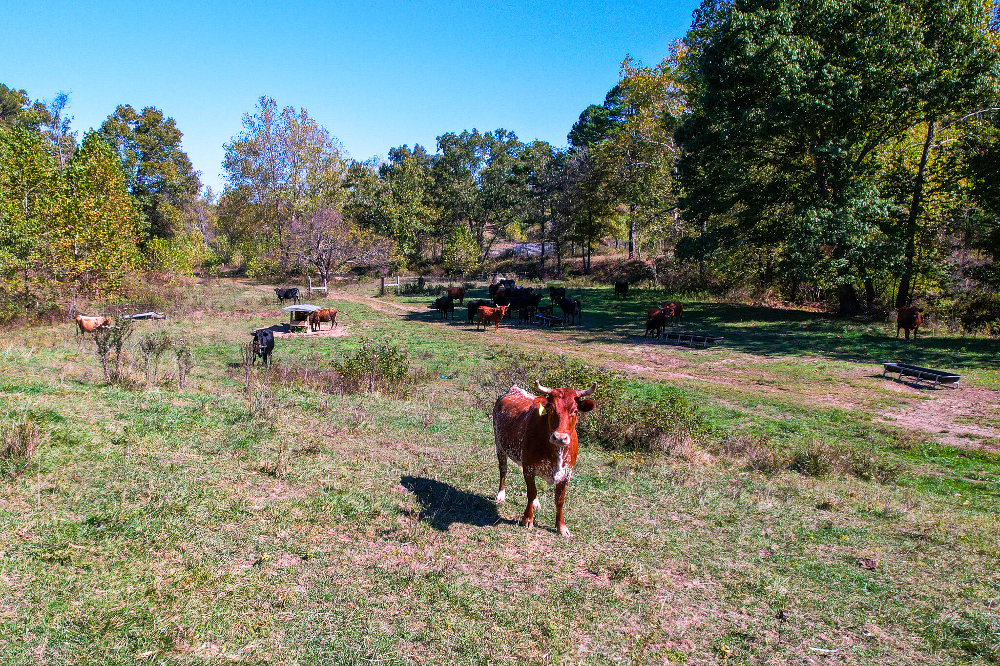 000 County Road 1130 Property Photo 32