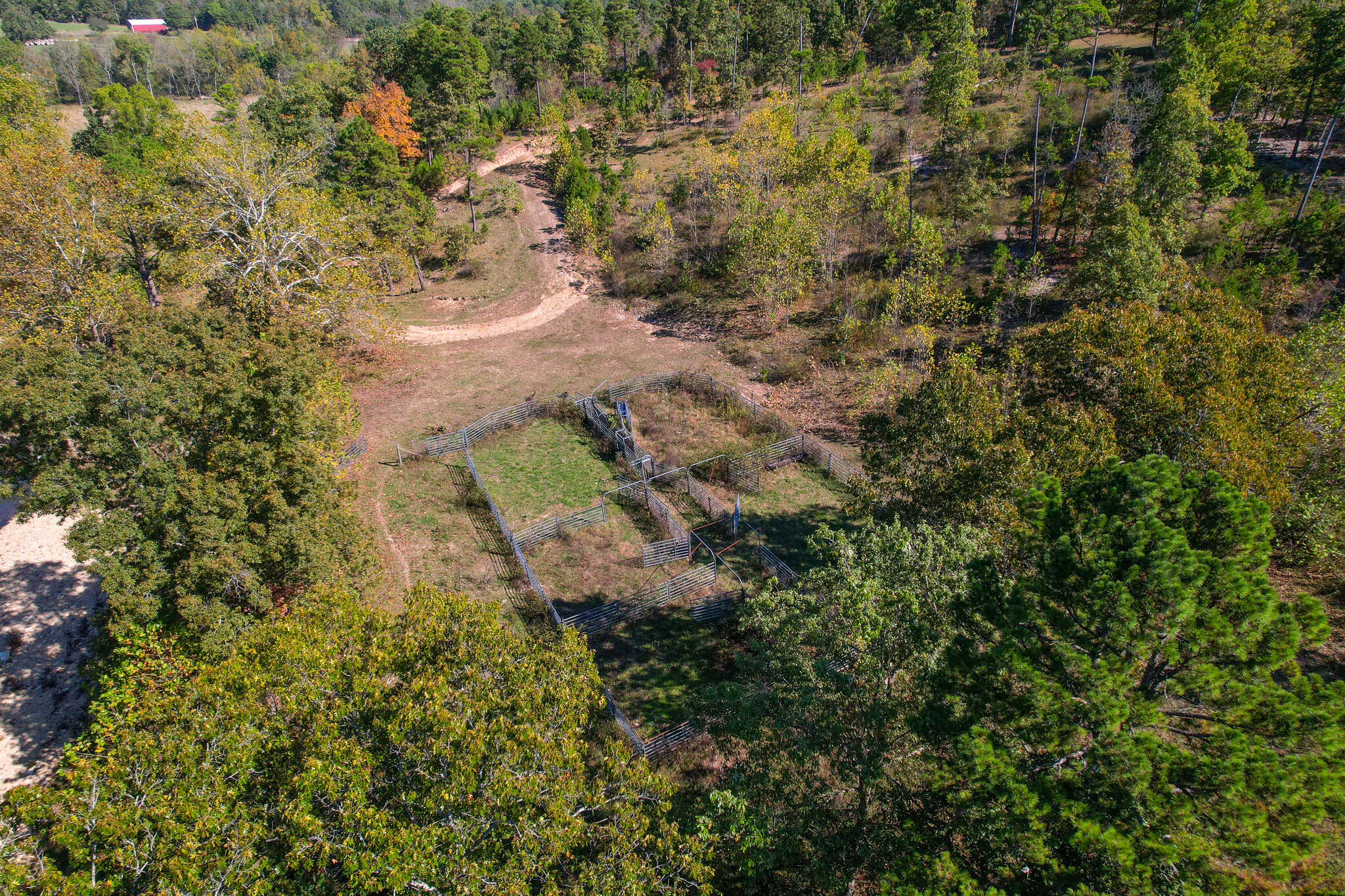 000 County Road 1130 Property Photo 33