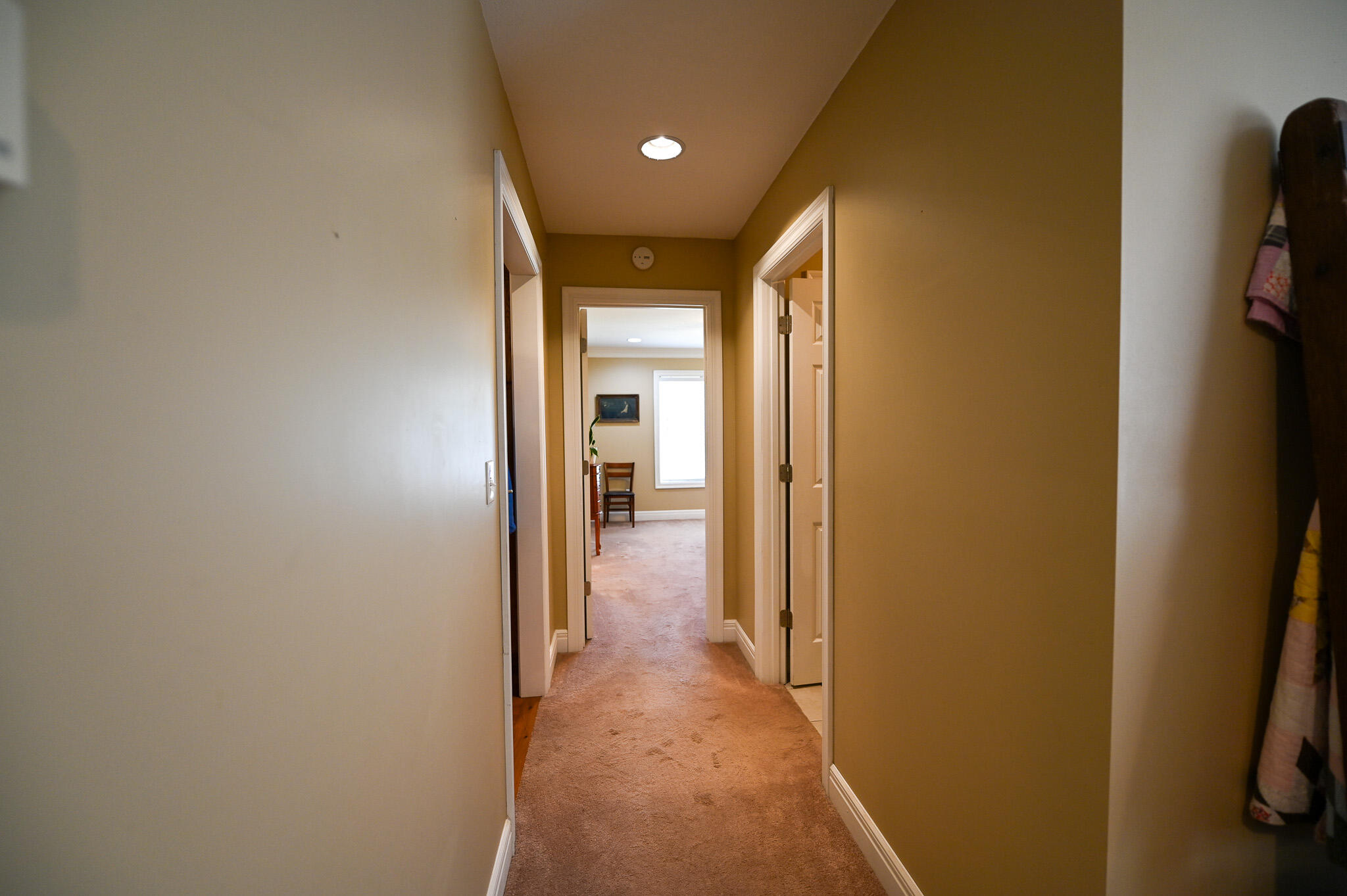 33981 County Road 96 Property Photo 28
