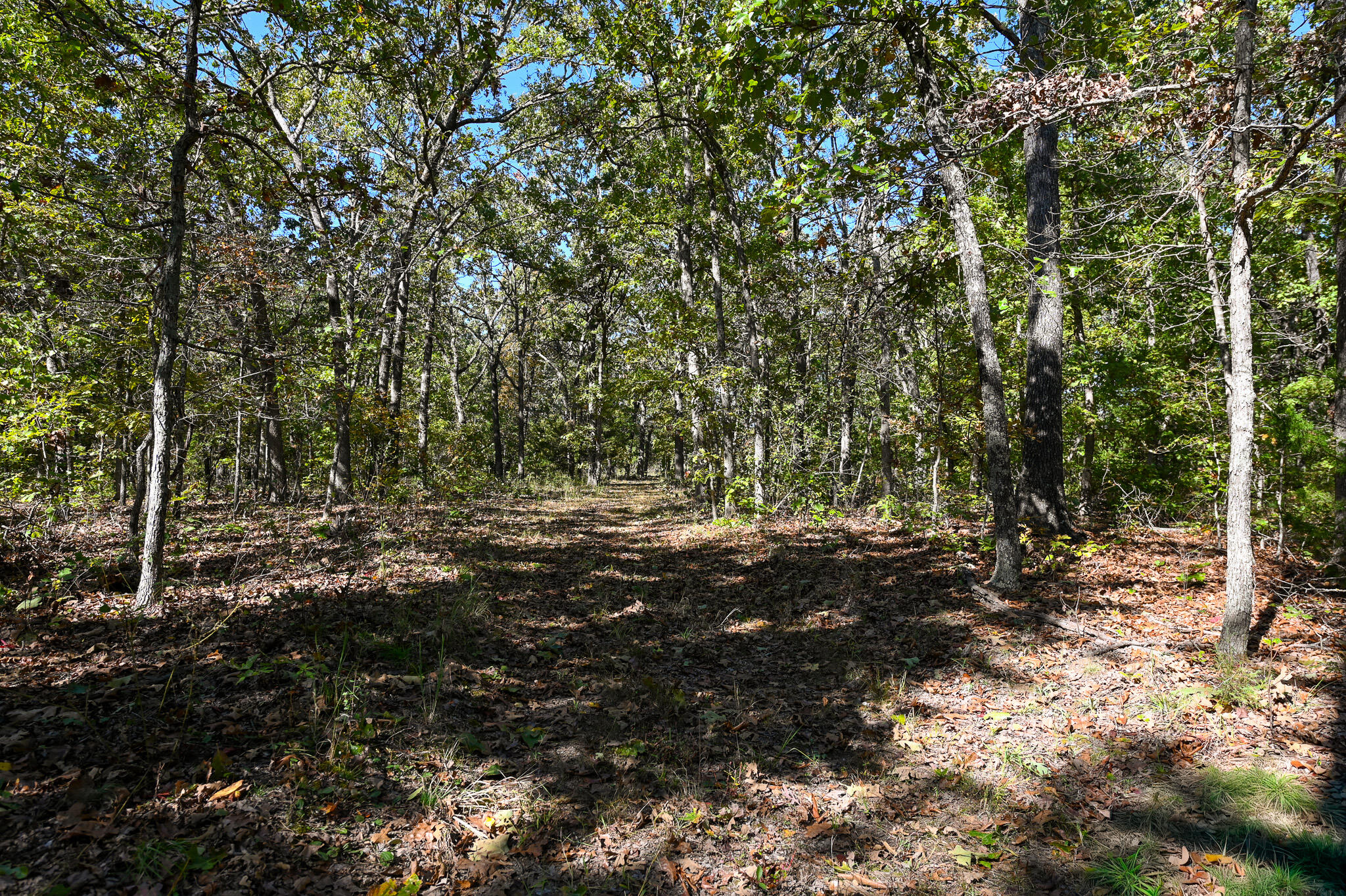 33981 County Road 96 Property Photo 36
