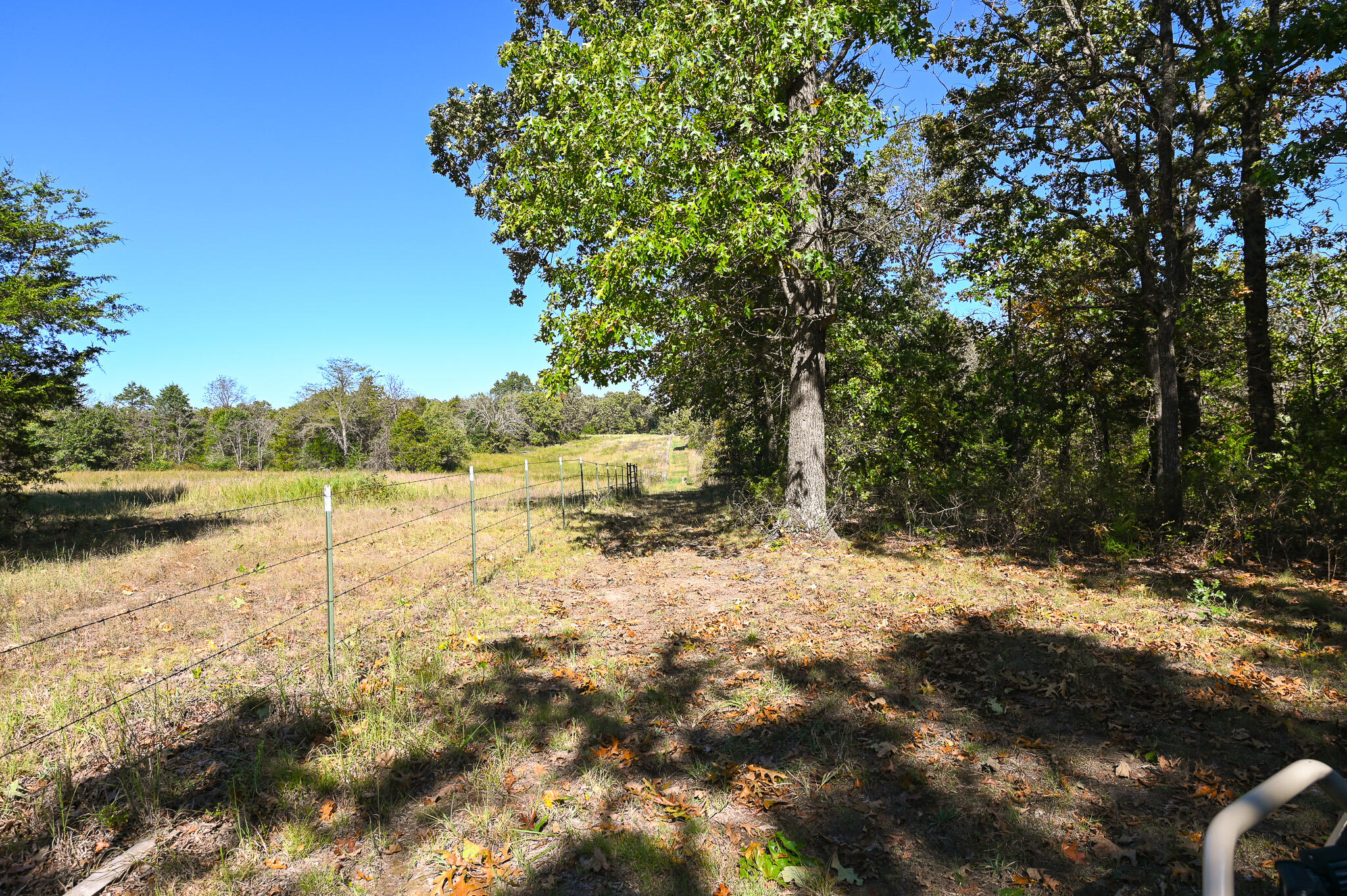 33981 County Road 96 Property Photo 37