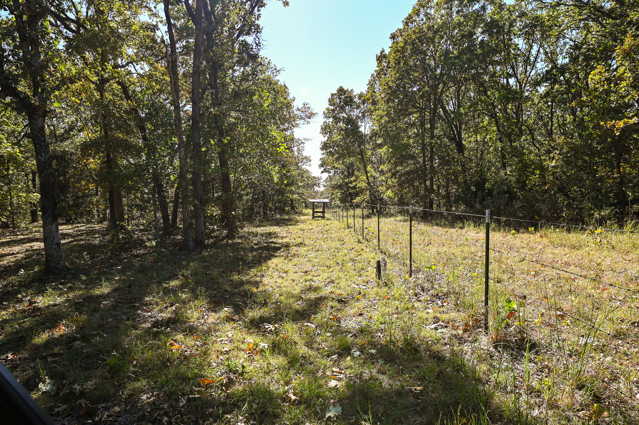 33981 County Road 96 Property Photo 38