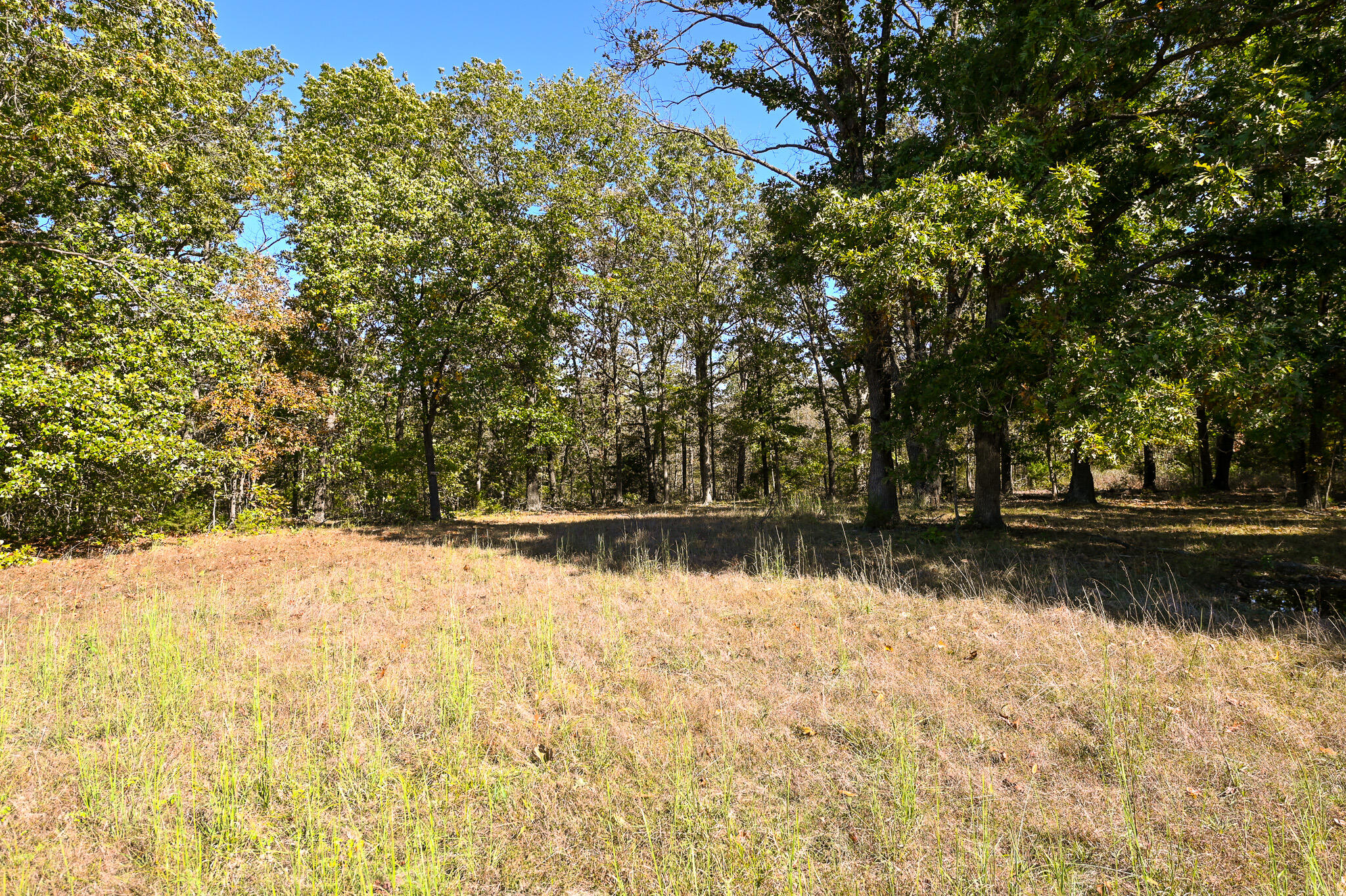 33981 County Road 96 Property Photo 39