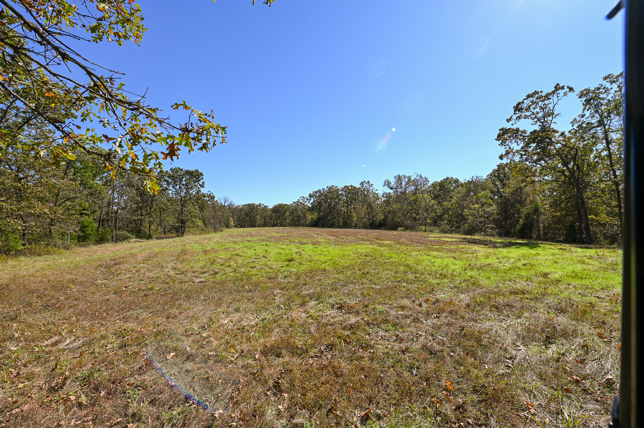 33981 County Road 96 Property Photo 45