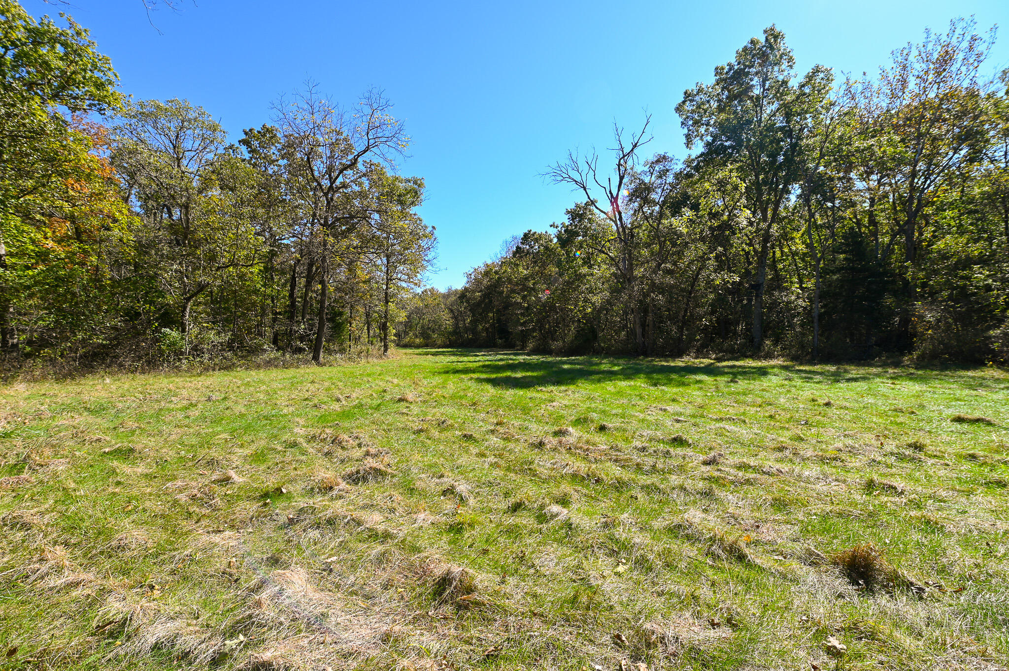 33981 County Road 96 Property Photo 46