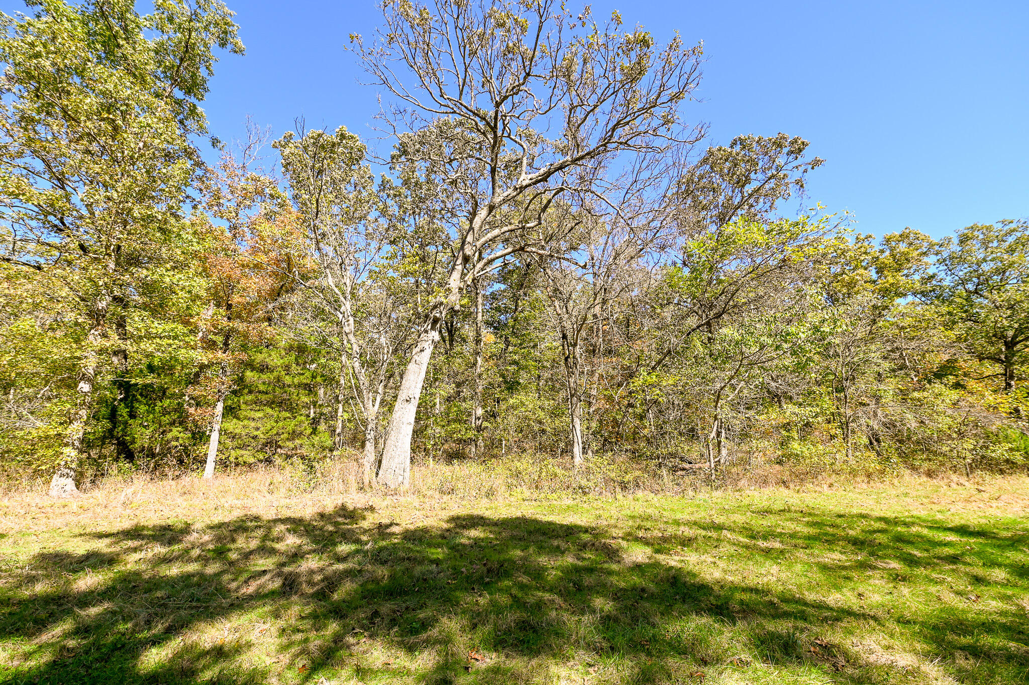 33981 County Road 96 Property Photo 47
