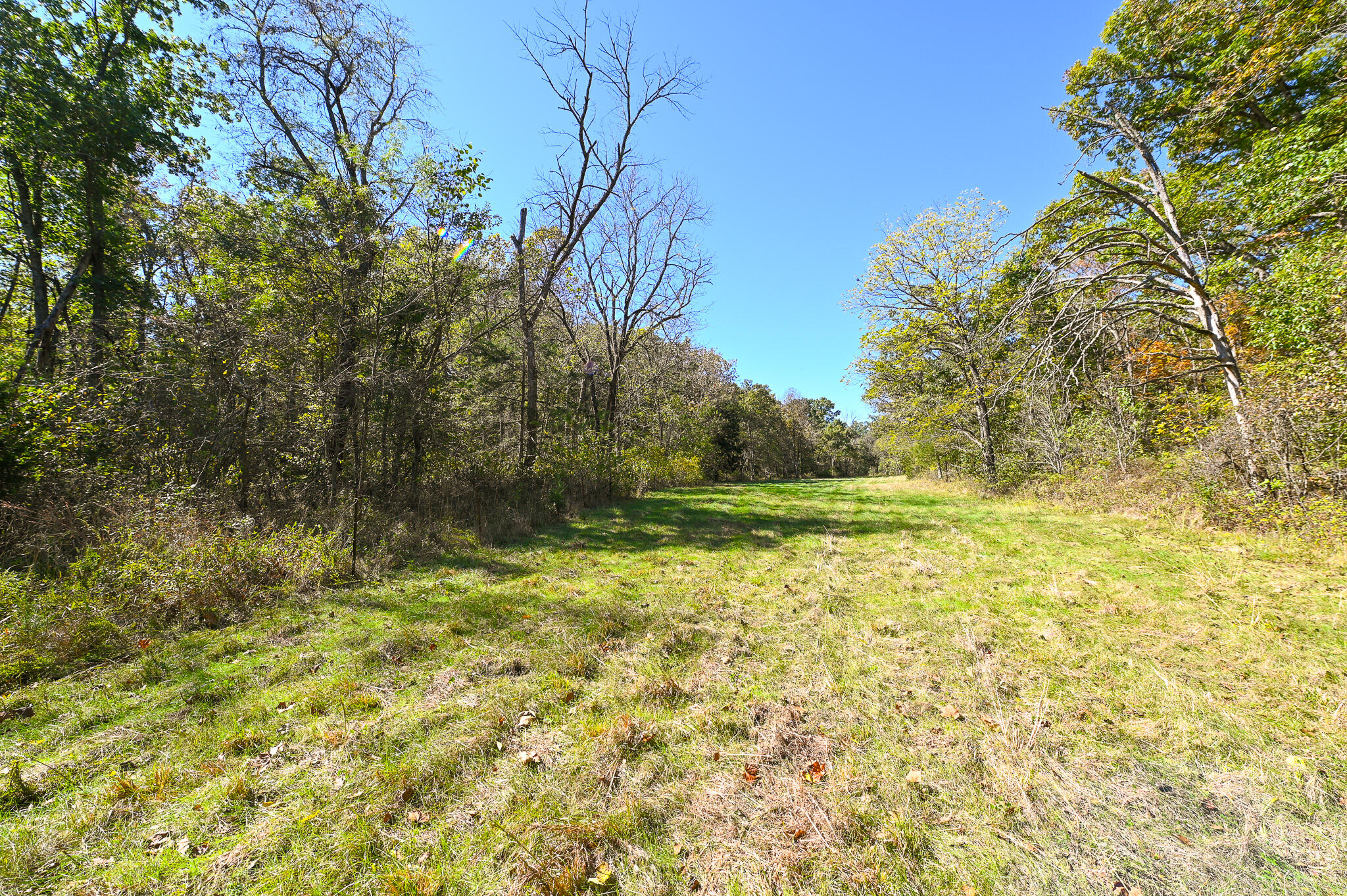 33981 County Road 96 Property Photo 48