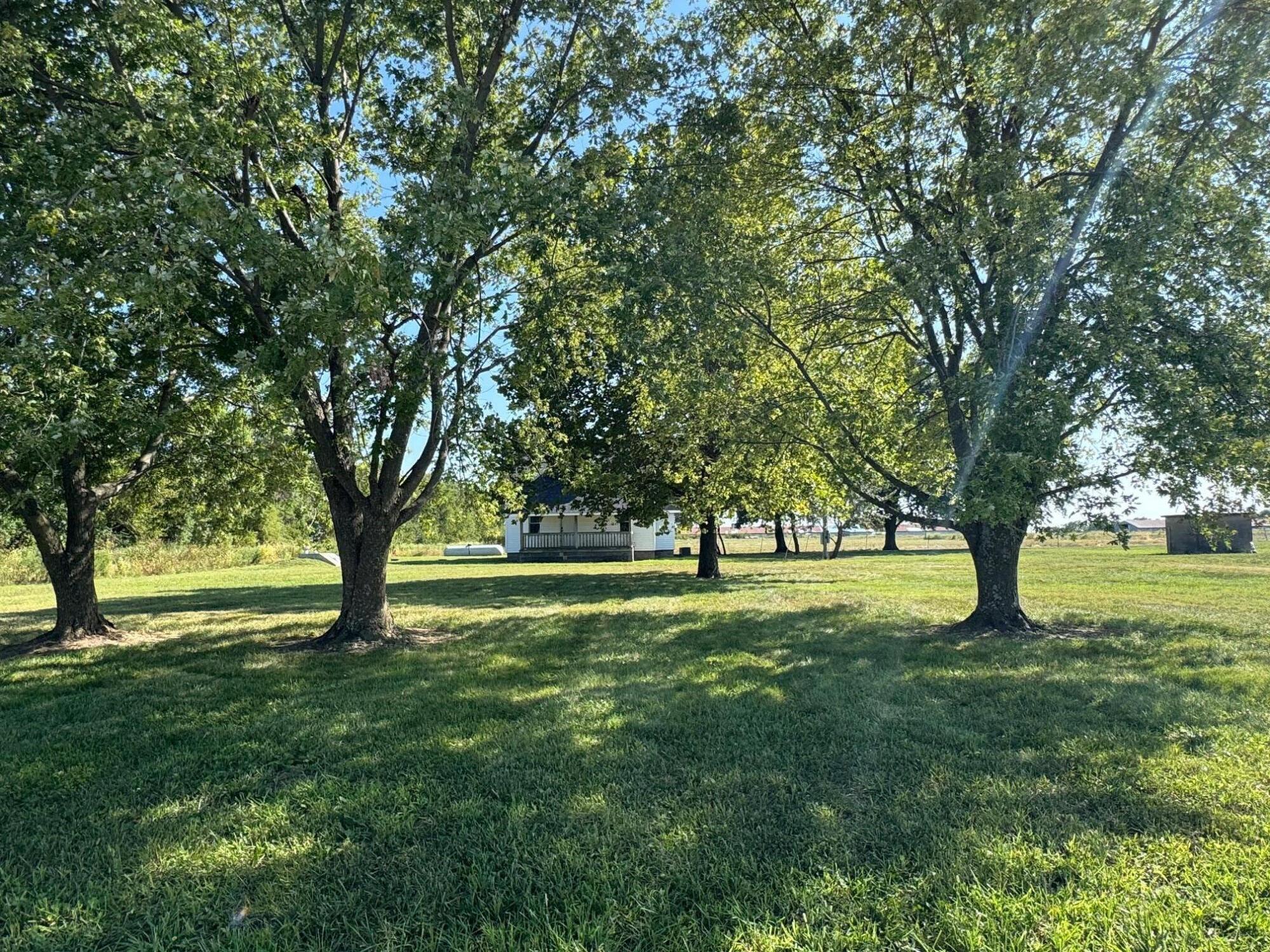 302 Maple Road Property Photo 8