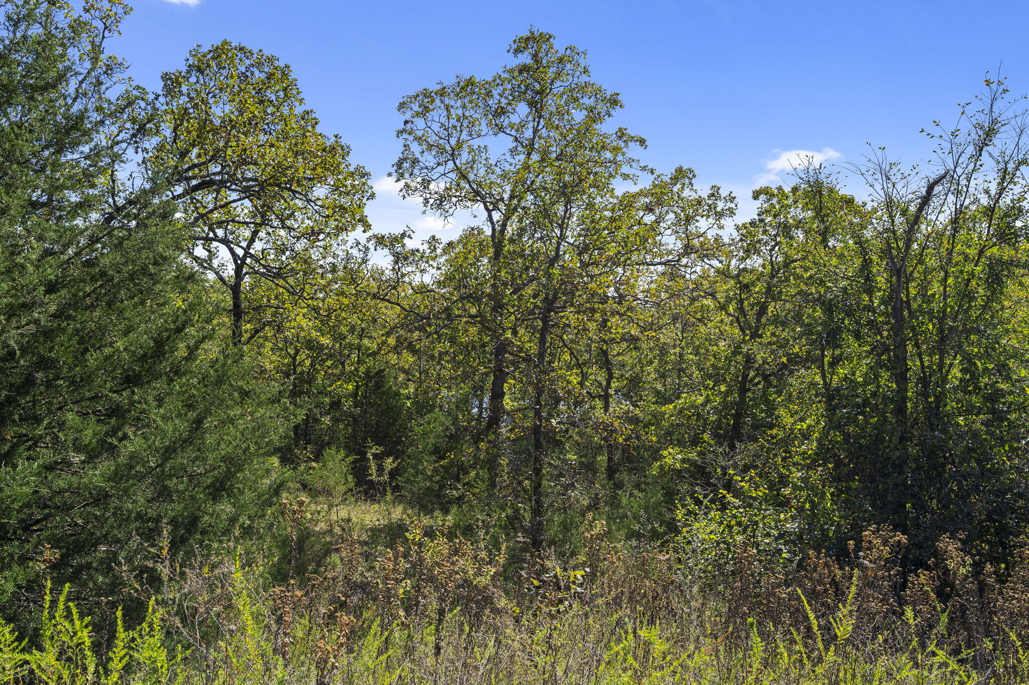 Lot 312 Weatherstone Drive Property Photo 14